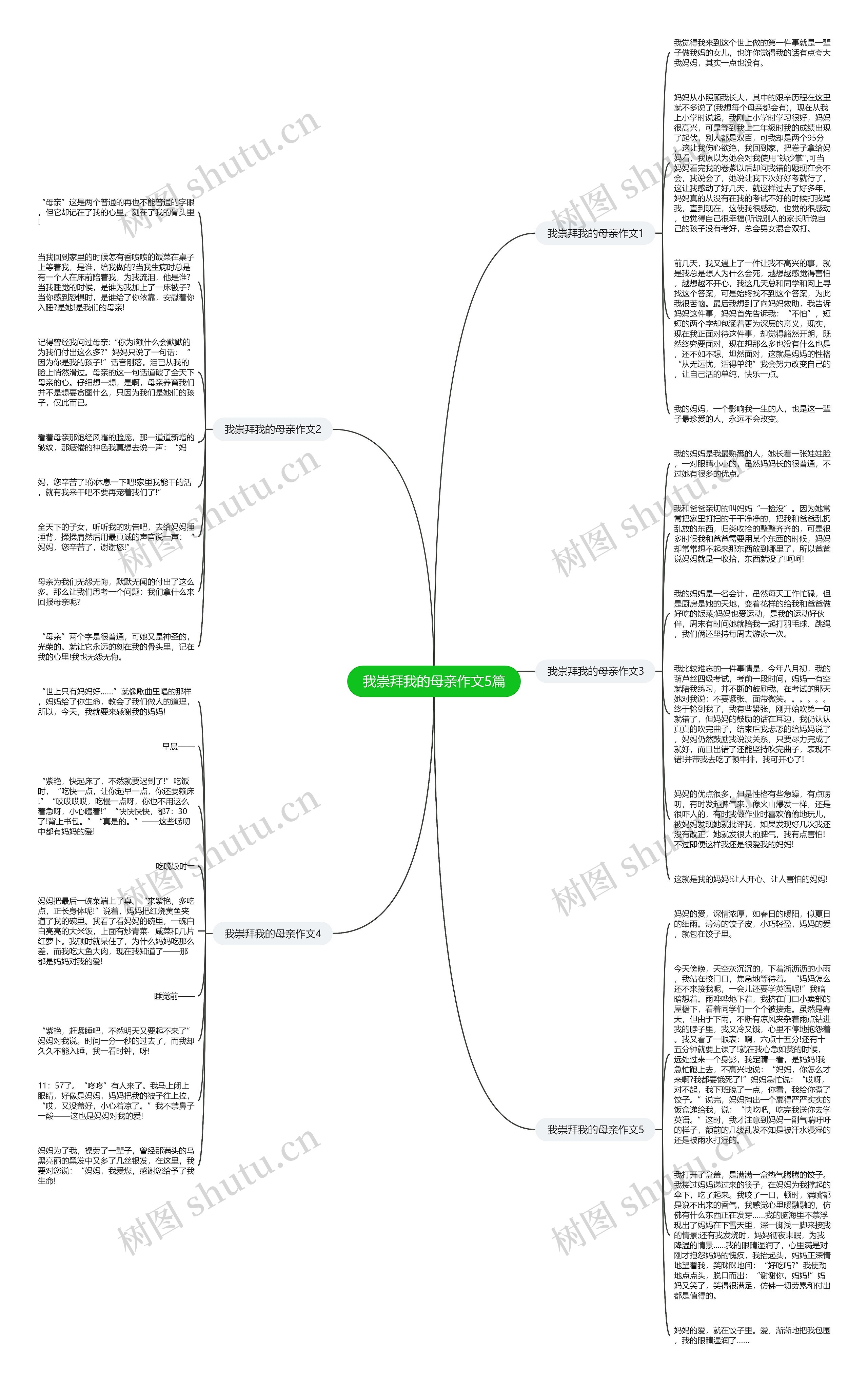 我崇拜我的母亲作文5篇思维导图