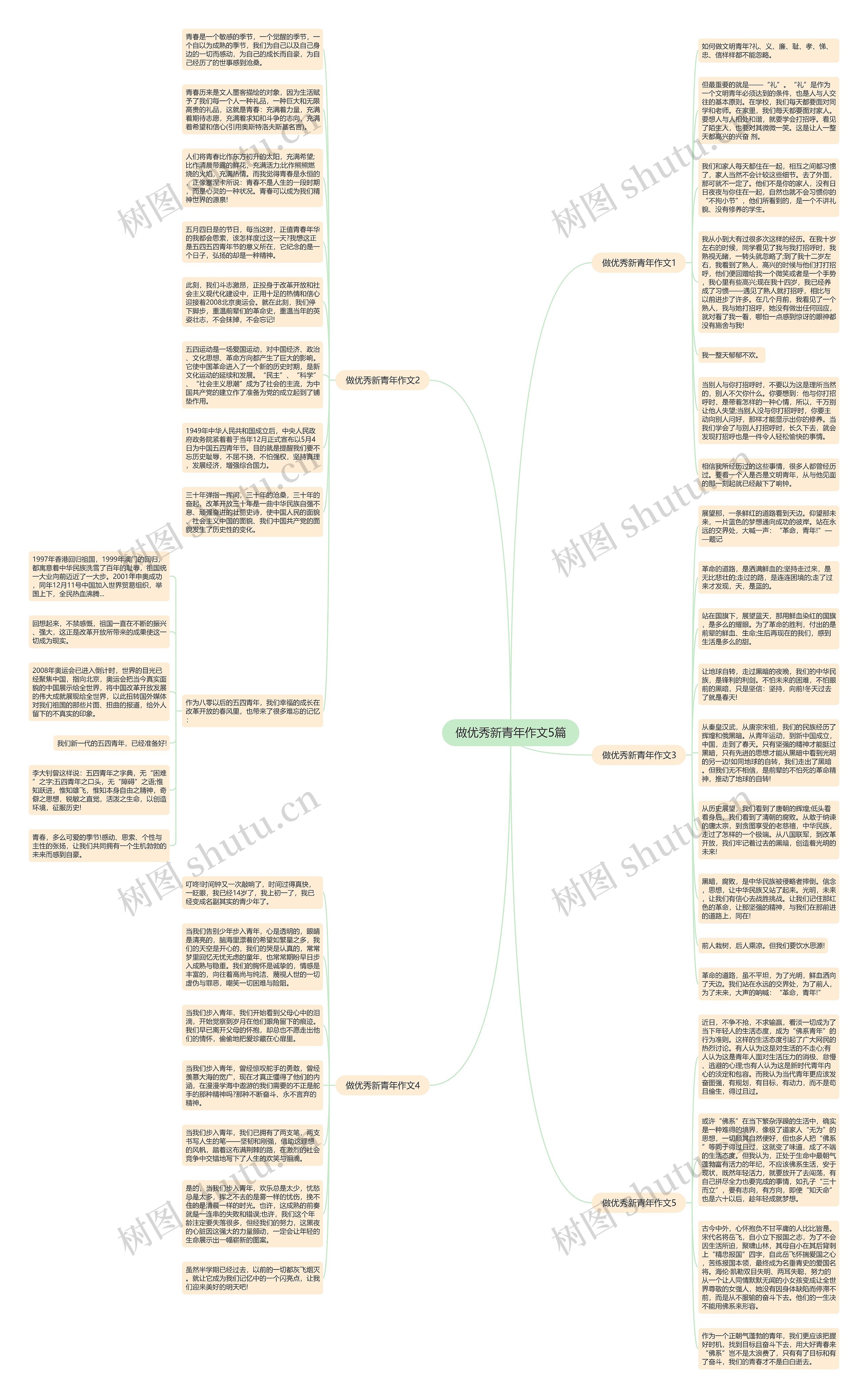 做优秀新青年作文5篇思维导图