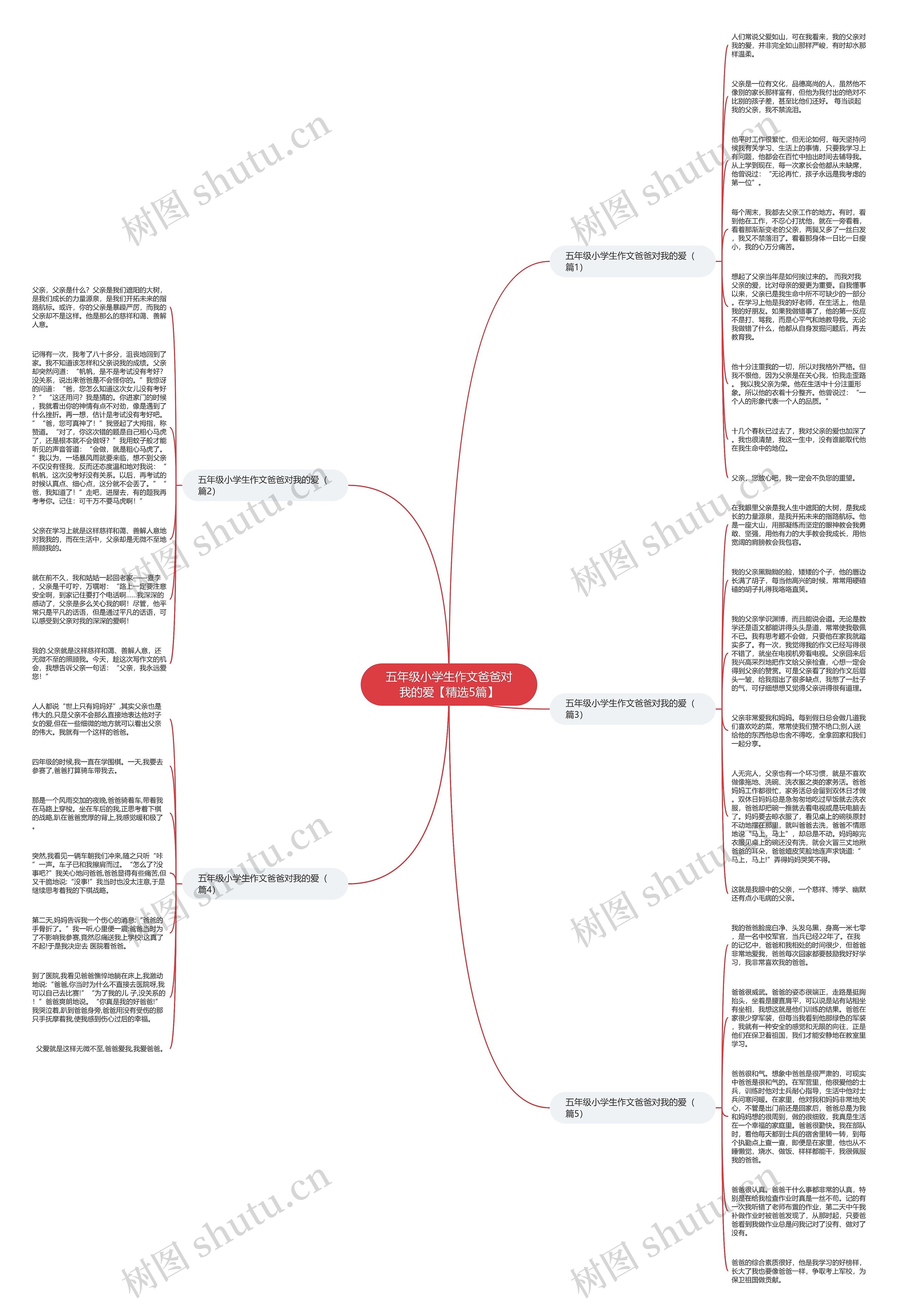 五年级小学生作文爸爸对我的爱【精选5篇】思维导图
