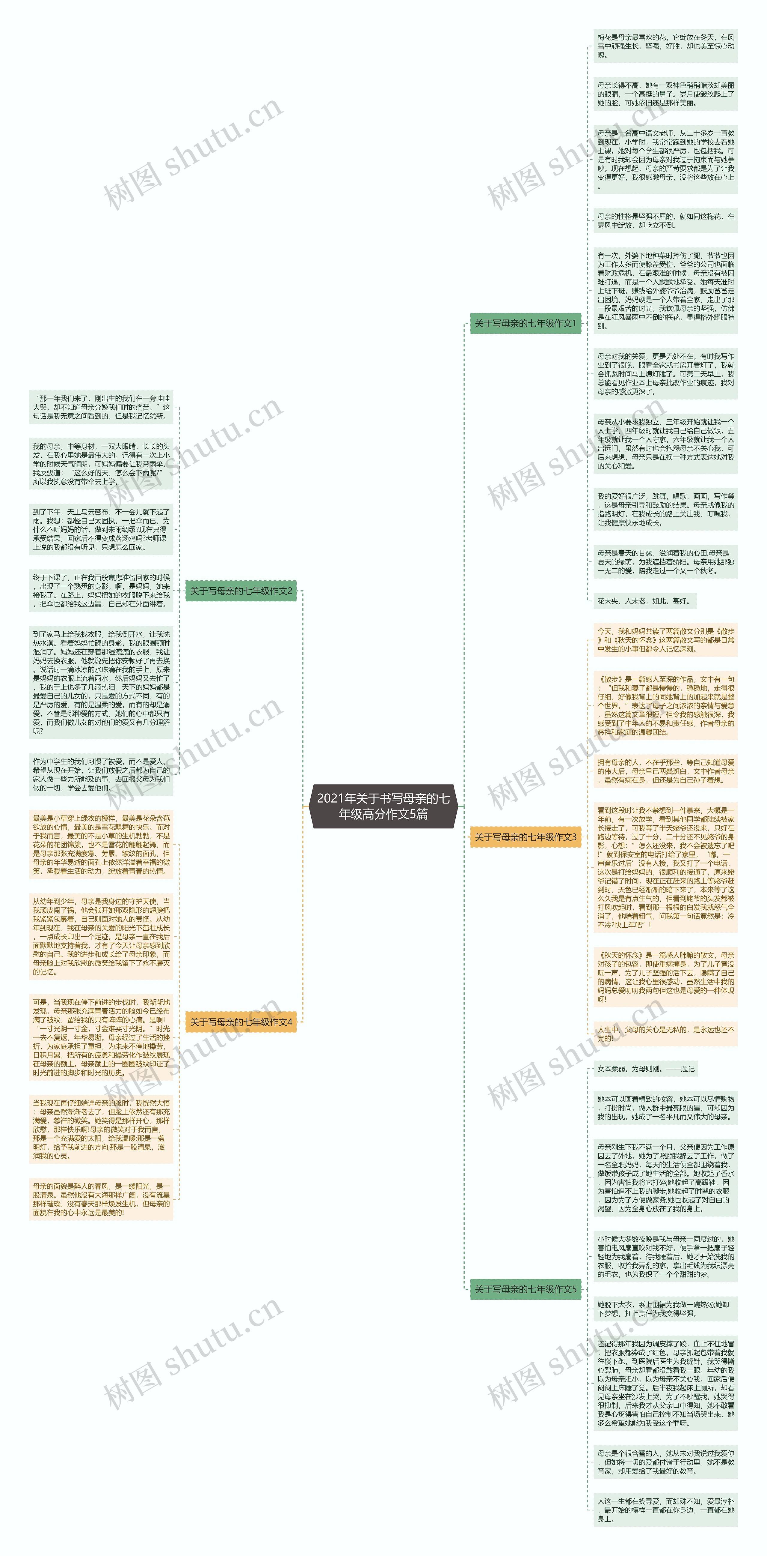 2021年关于书写母亲的七年级高分作文5篇