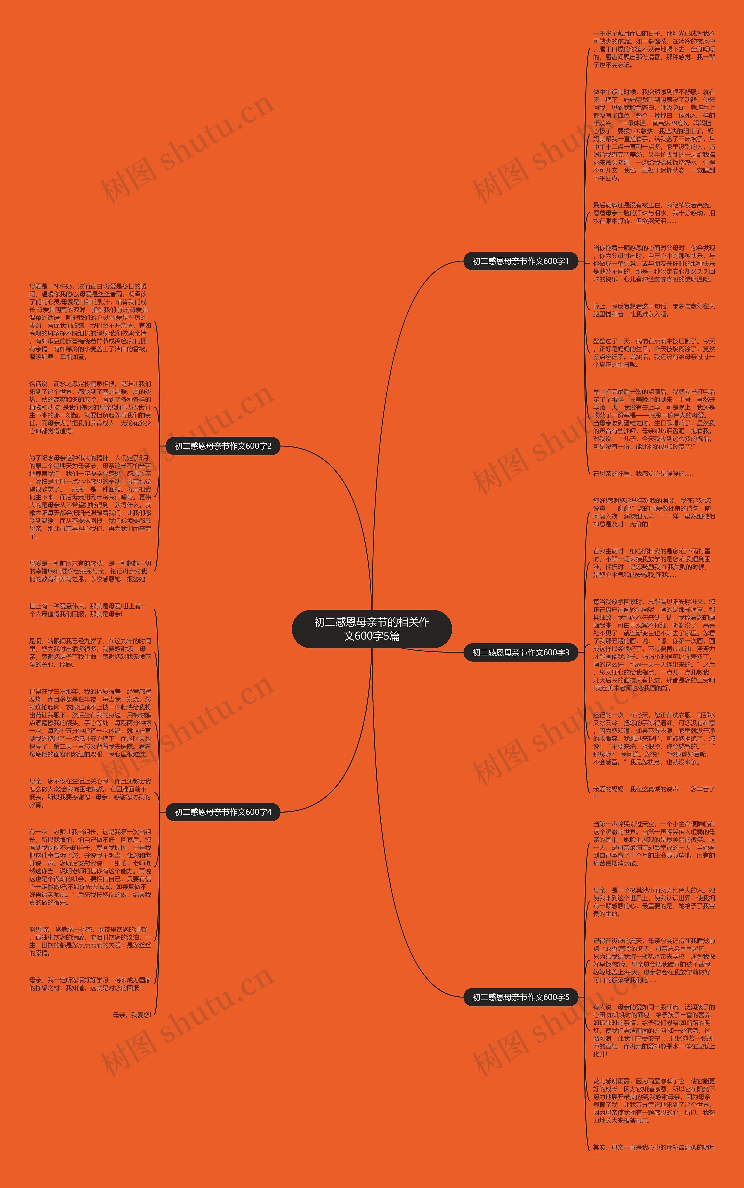 初二感恩母亲节的相关作文600字5篇思维导图
