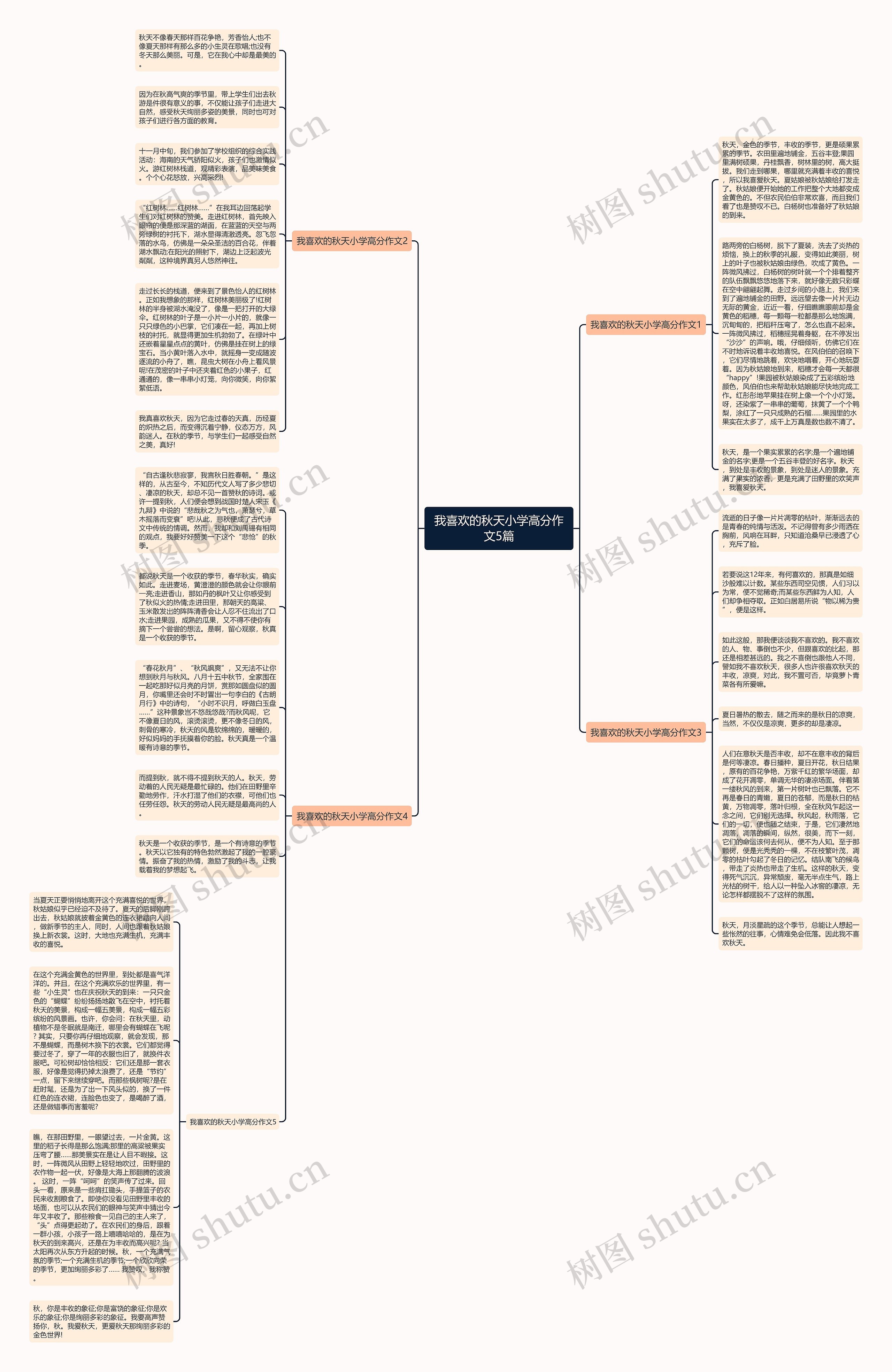 我喜欢的秋天小学高分作文5篇思维导图