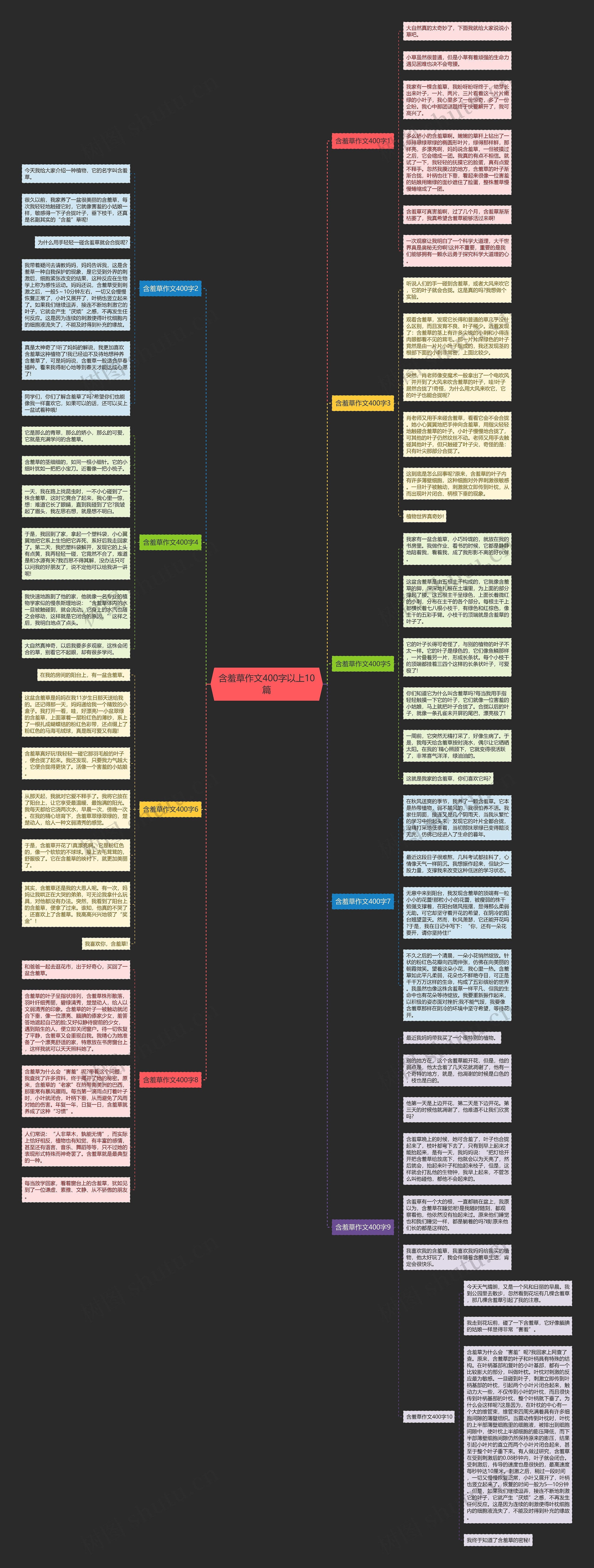 含羞草作文400字以上10篇思维导图