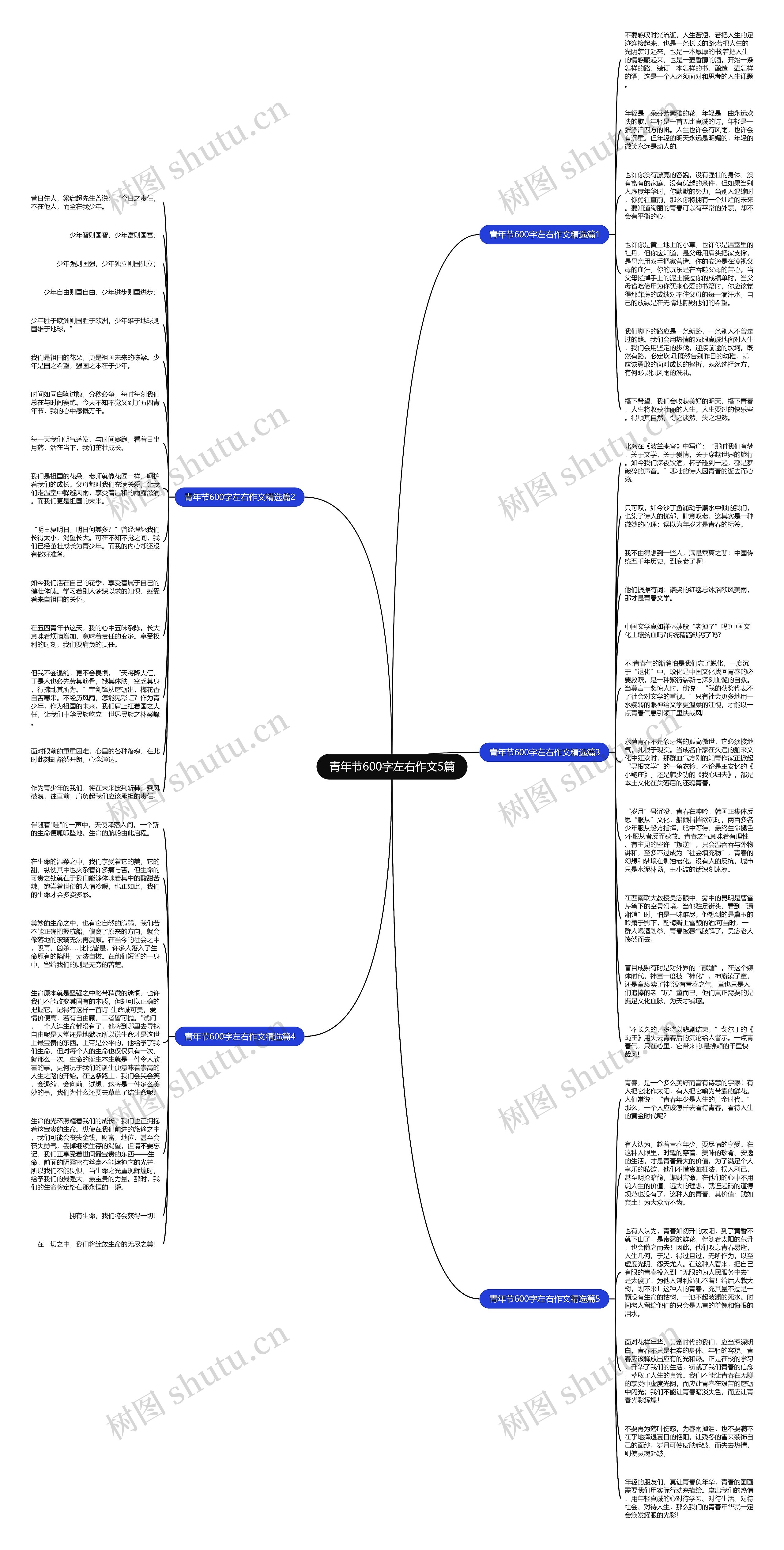 青年节600字左右作文5篇思维导图