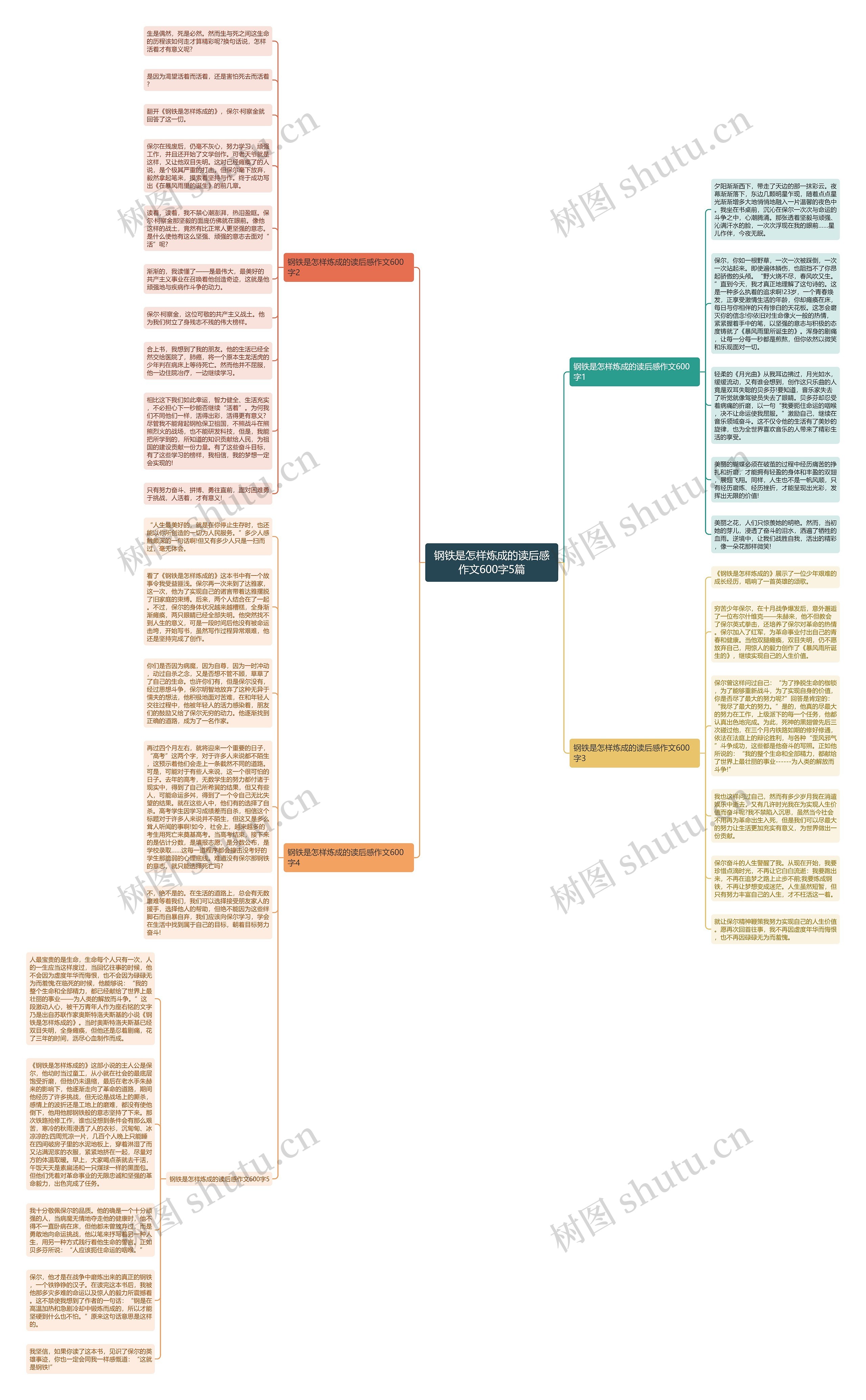 钢铁是怎样炼成的读后感作文600字5篇思维导图