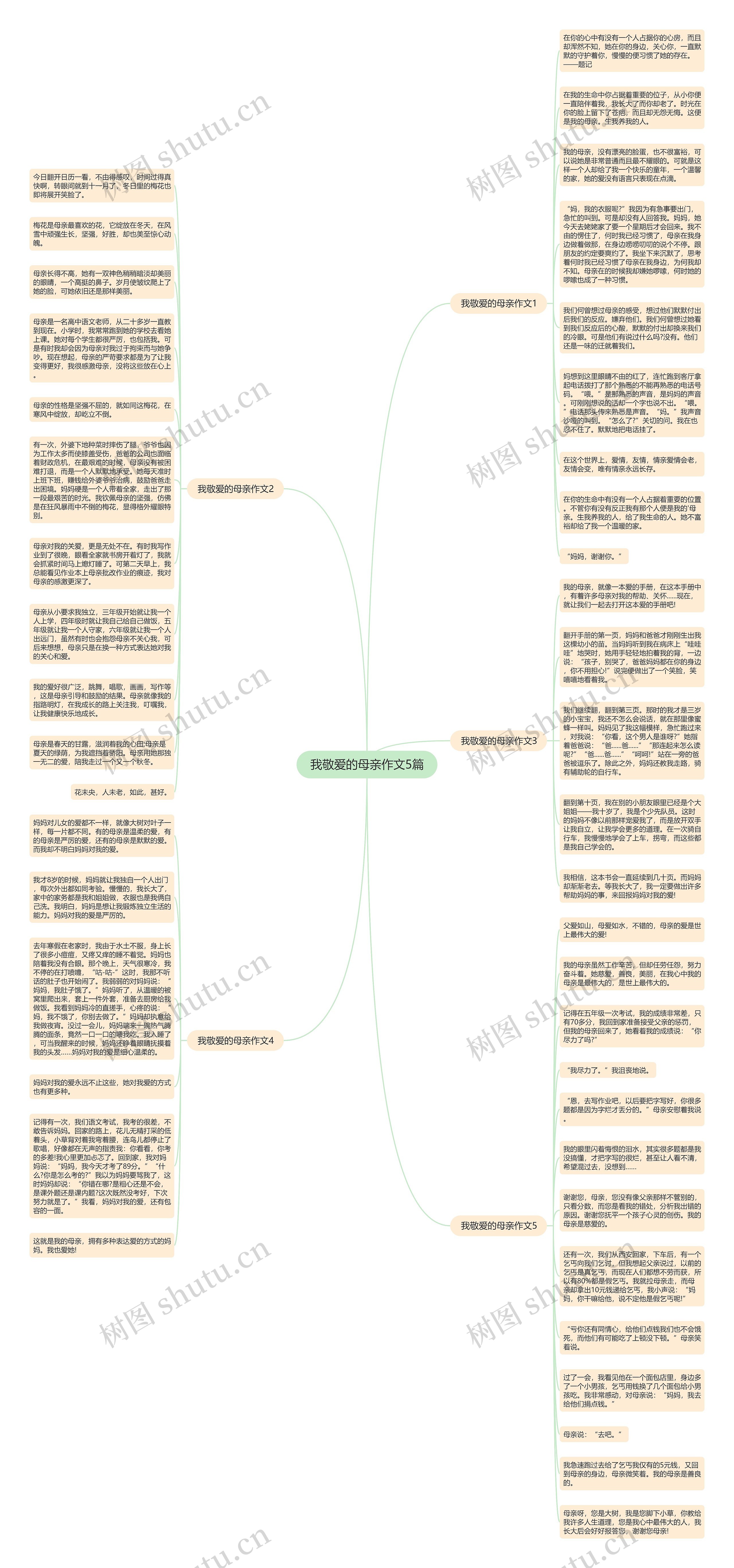 我敬爱的母亲作文5篇思维导图