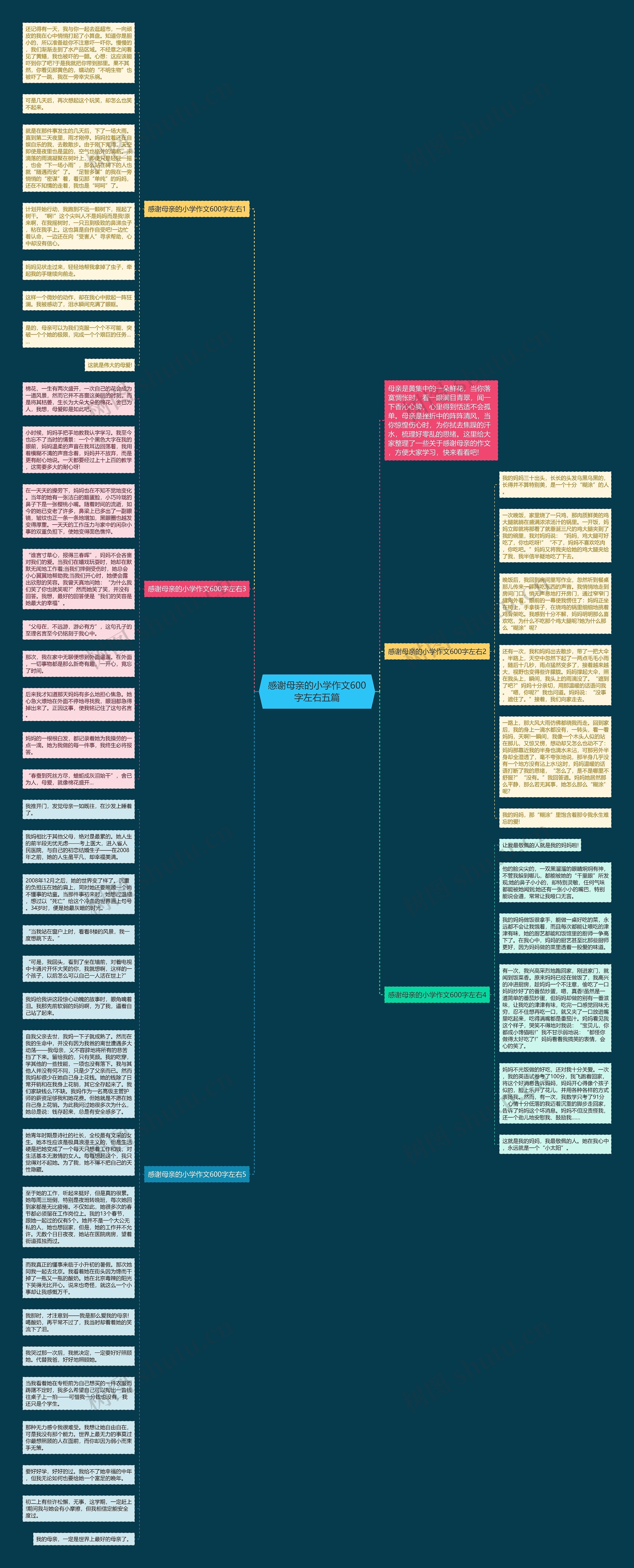 感谢母亲的小学作文600字左右五篇思维导图