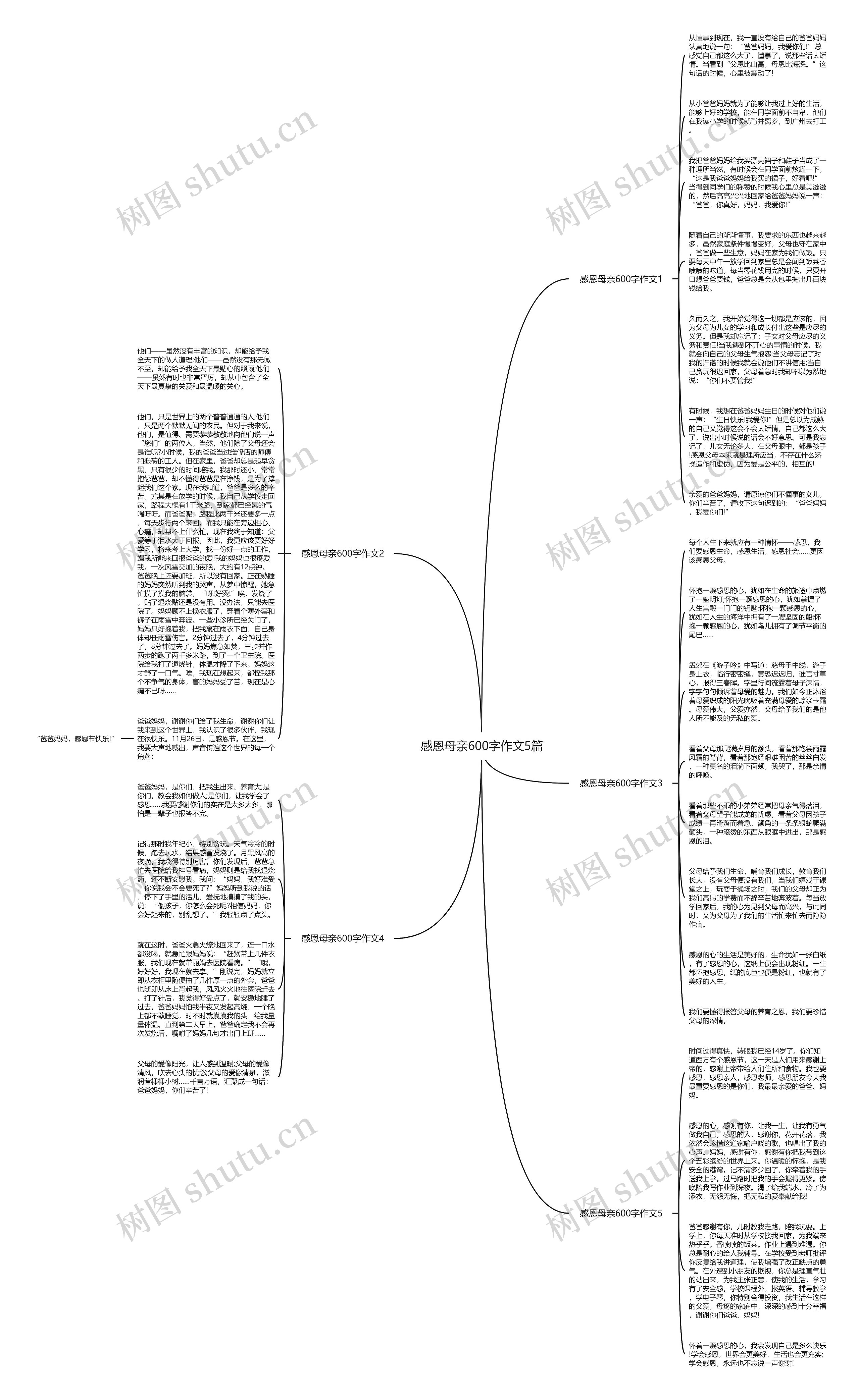 感恩母亲600字作文5篇思维导图