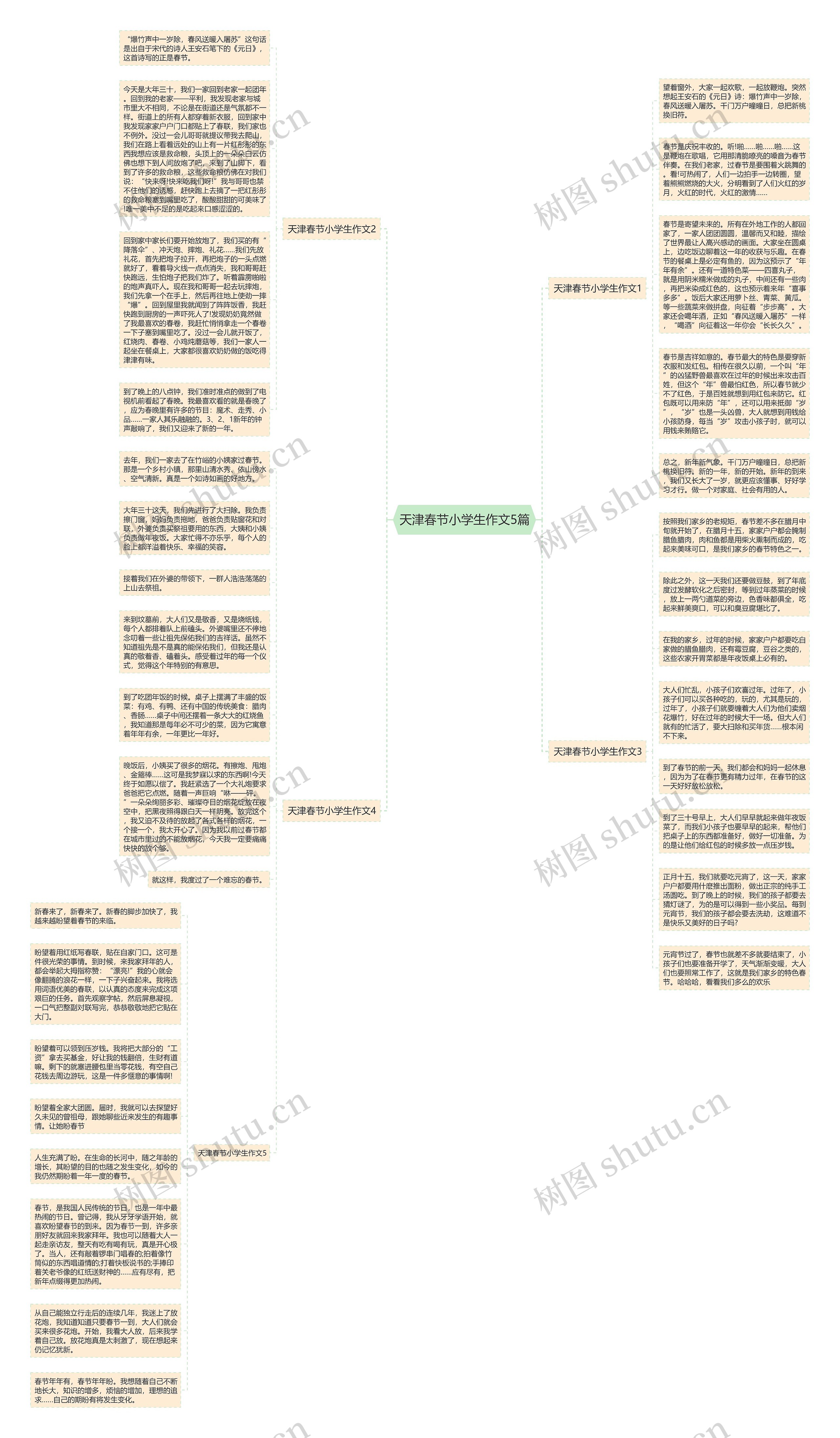 天津春节小学生作文5篇思维导图