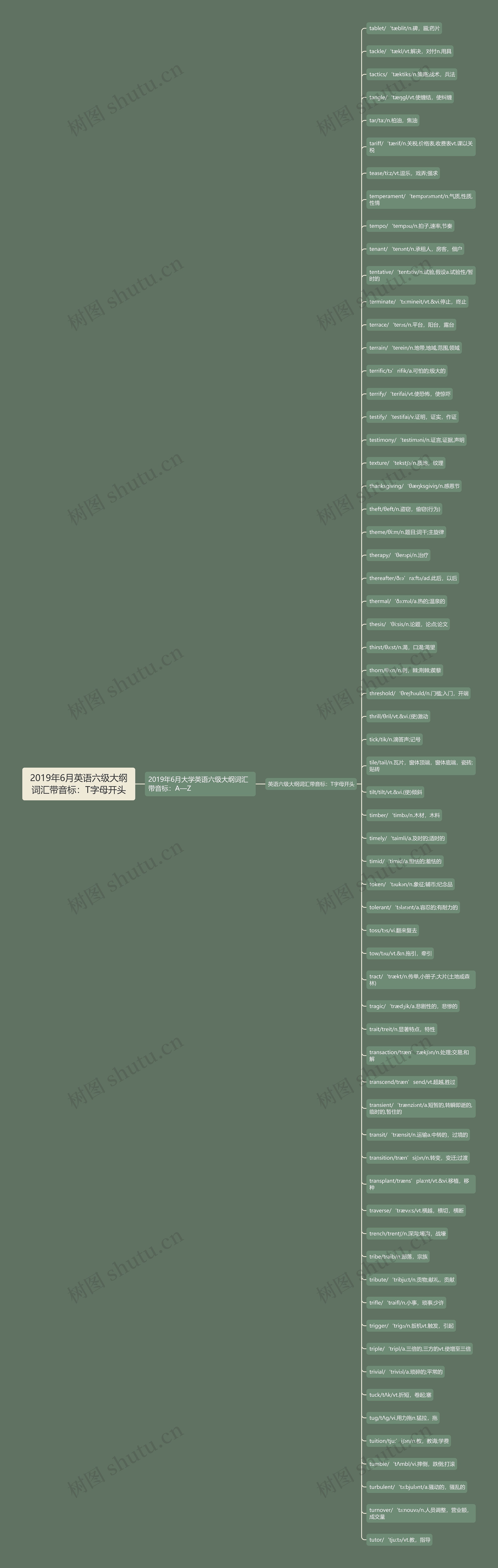 2019年6月英语六级大纲词汇带音标：T字母开头思维导图