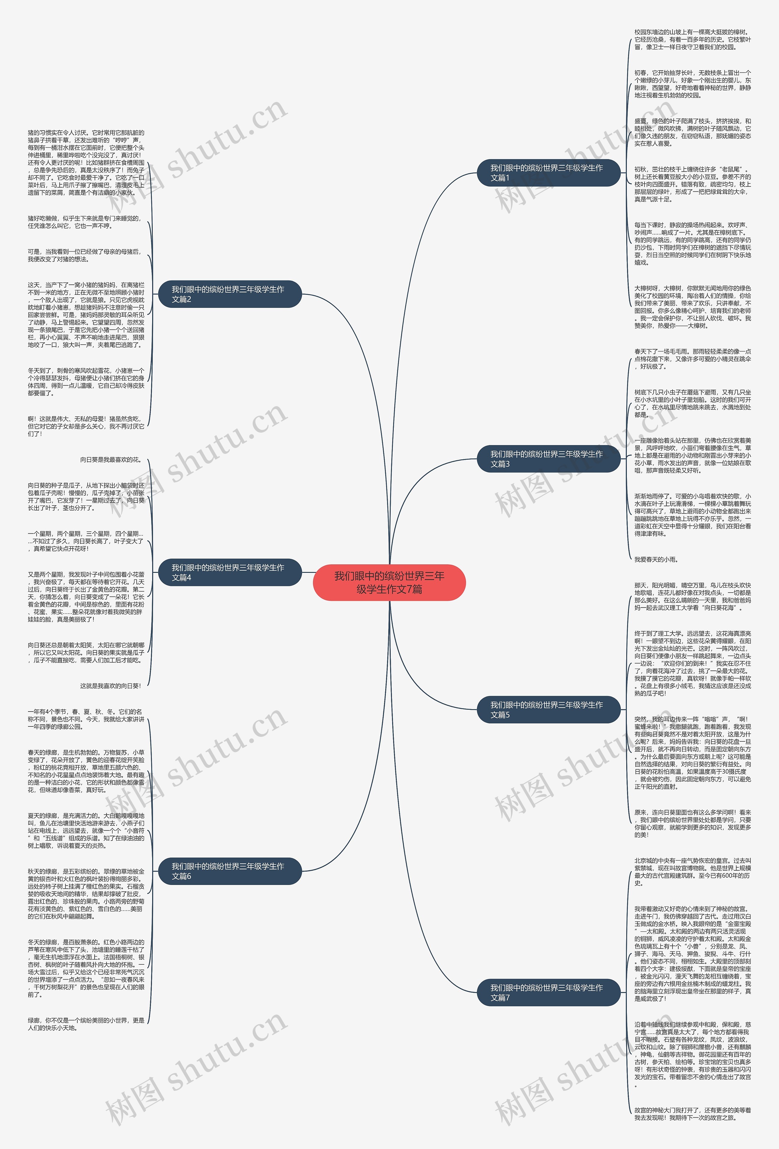 我们眼中的缤纷世界三年级学生作文7篇思维导图
