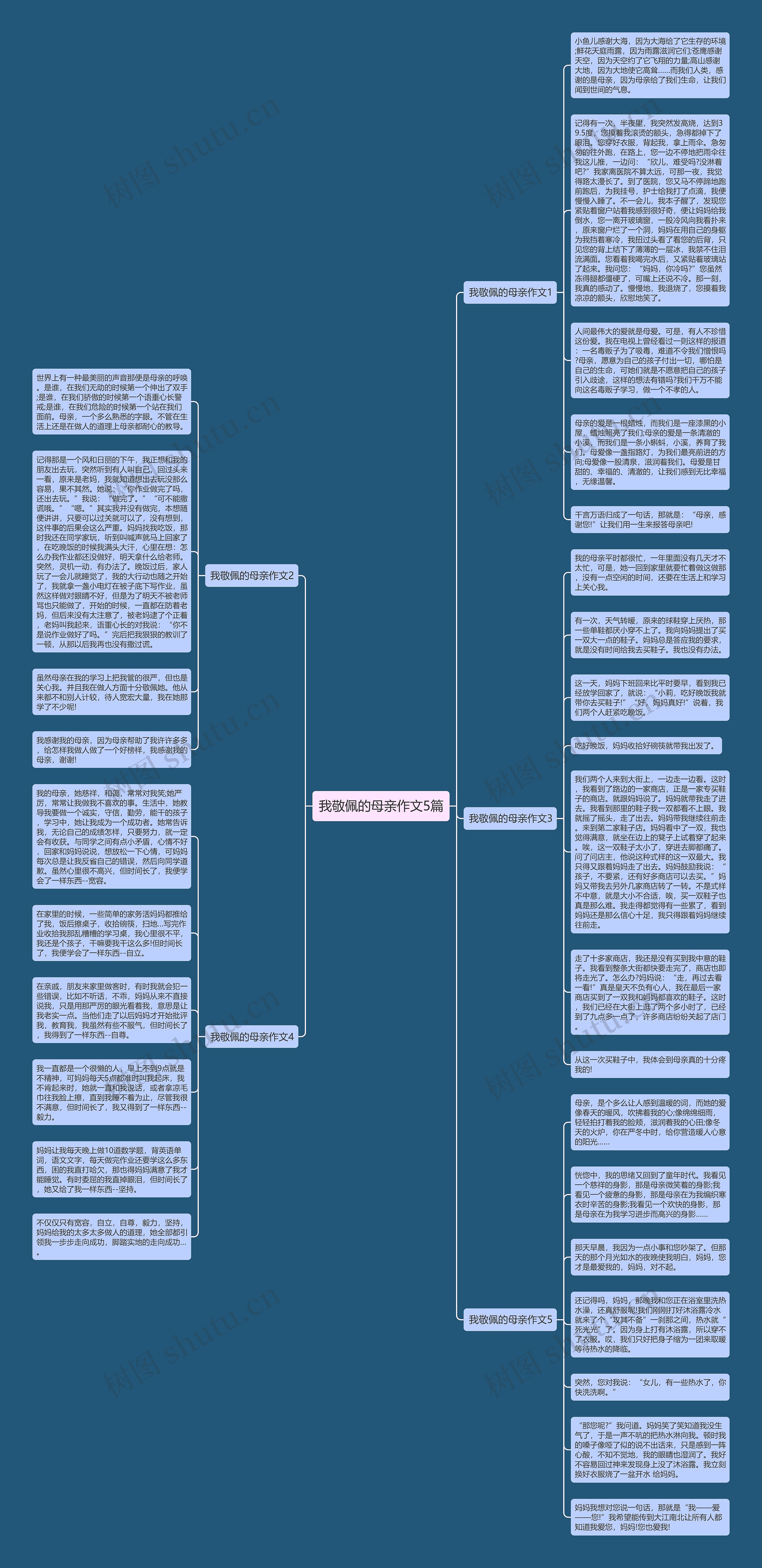 我敬佩的母亲作文5篇思维导图