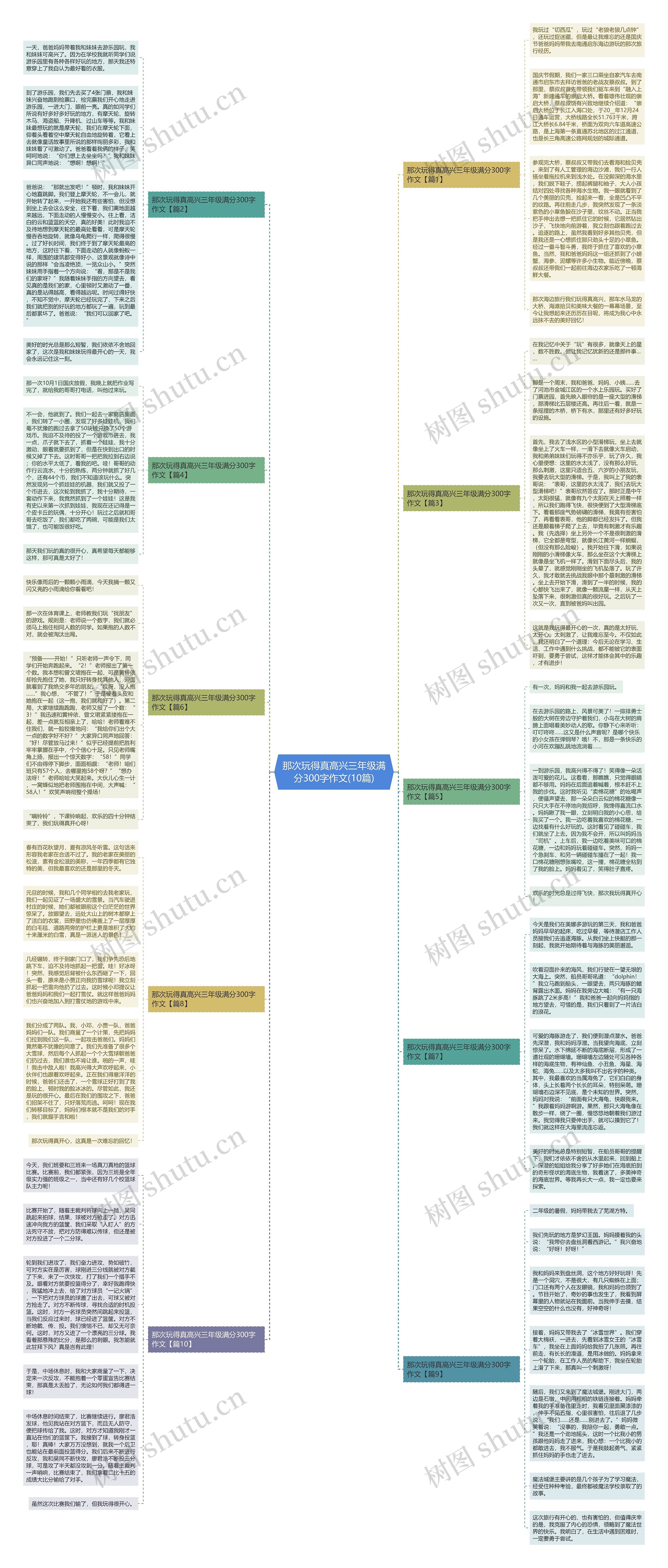 那次玩得真高兴三年级满分300字作文(10篇)思维导图