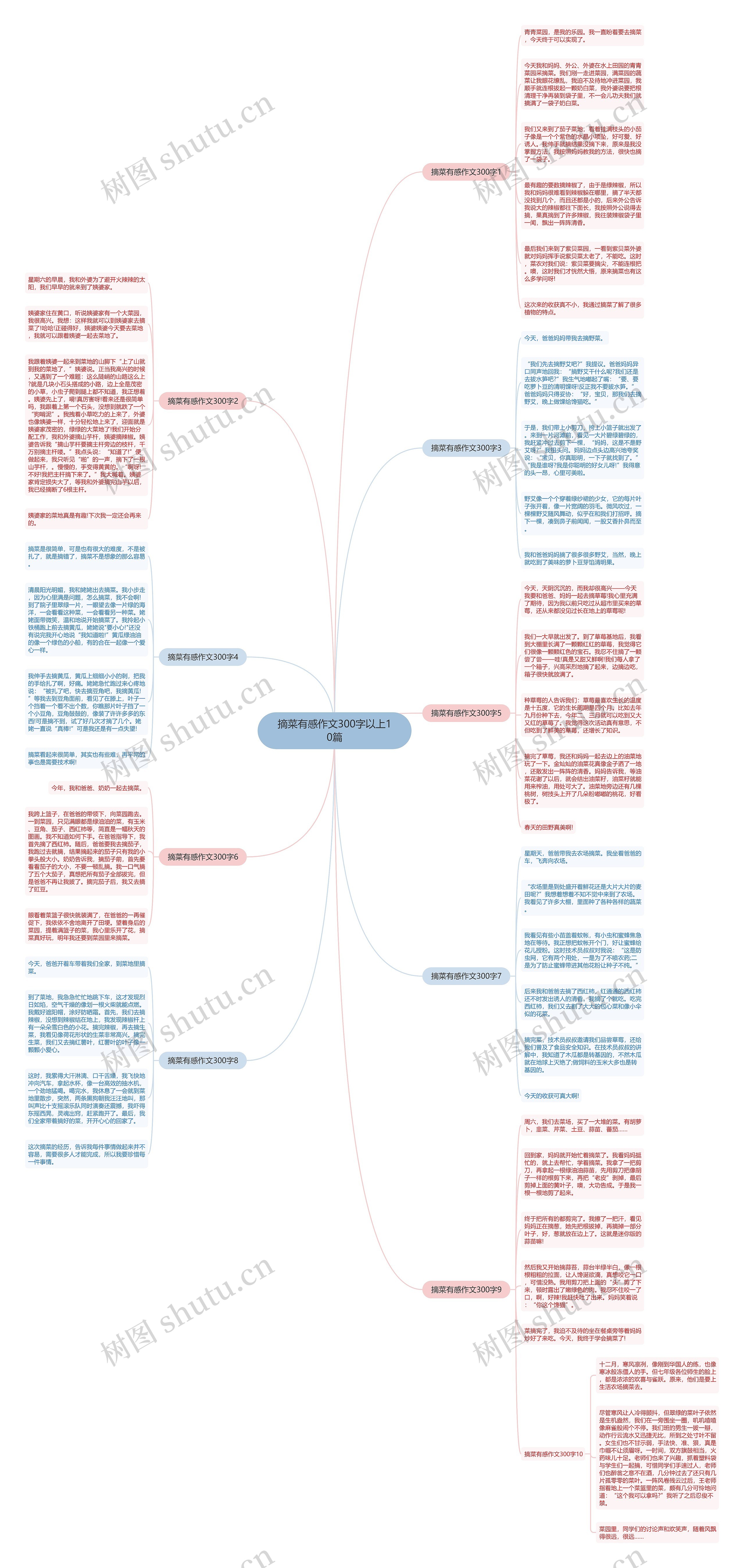 摘菜有感作文300字以上10篇思维导图