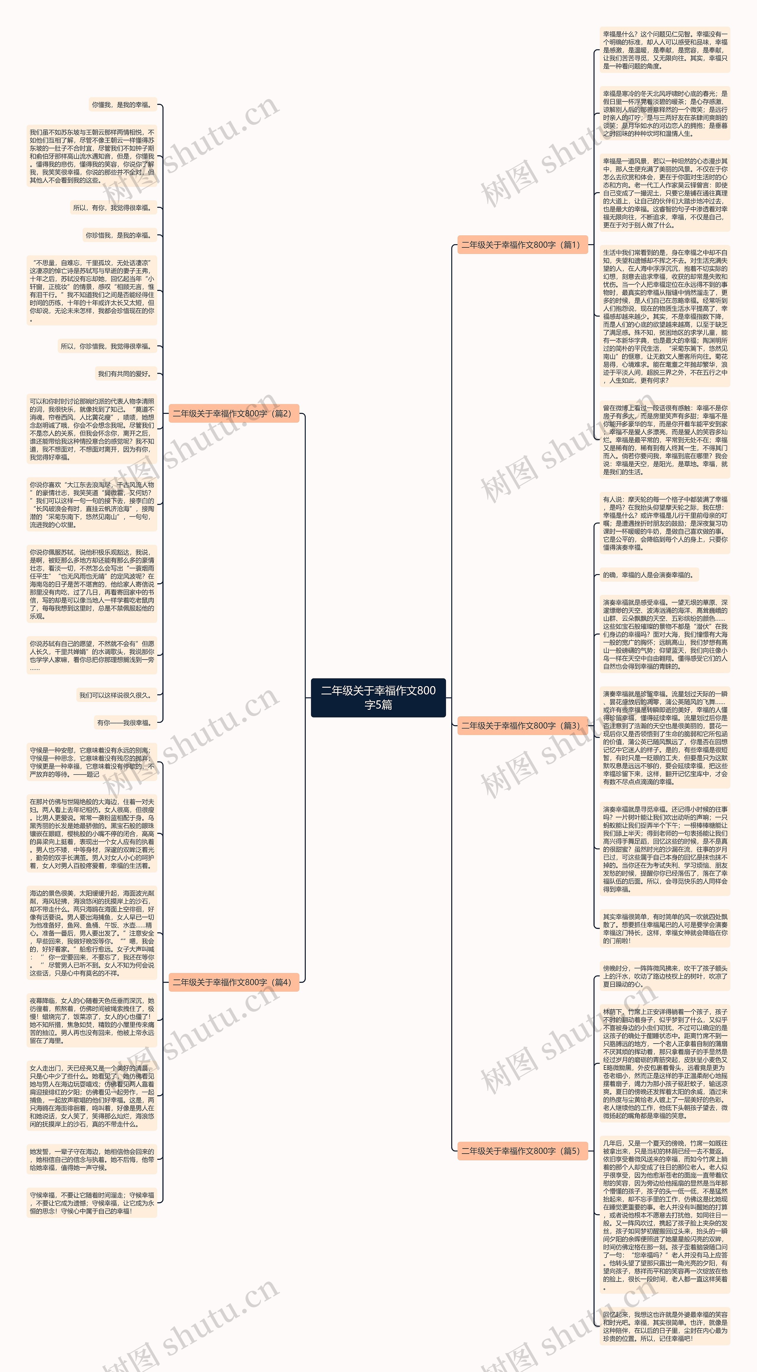 二年级关于幸福作文800字5篇思维导图