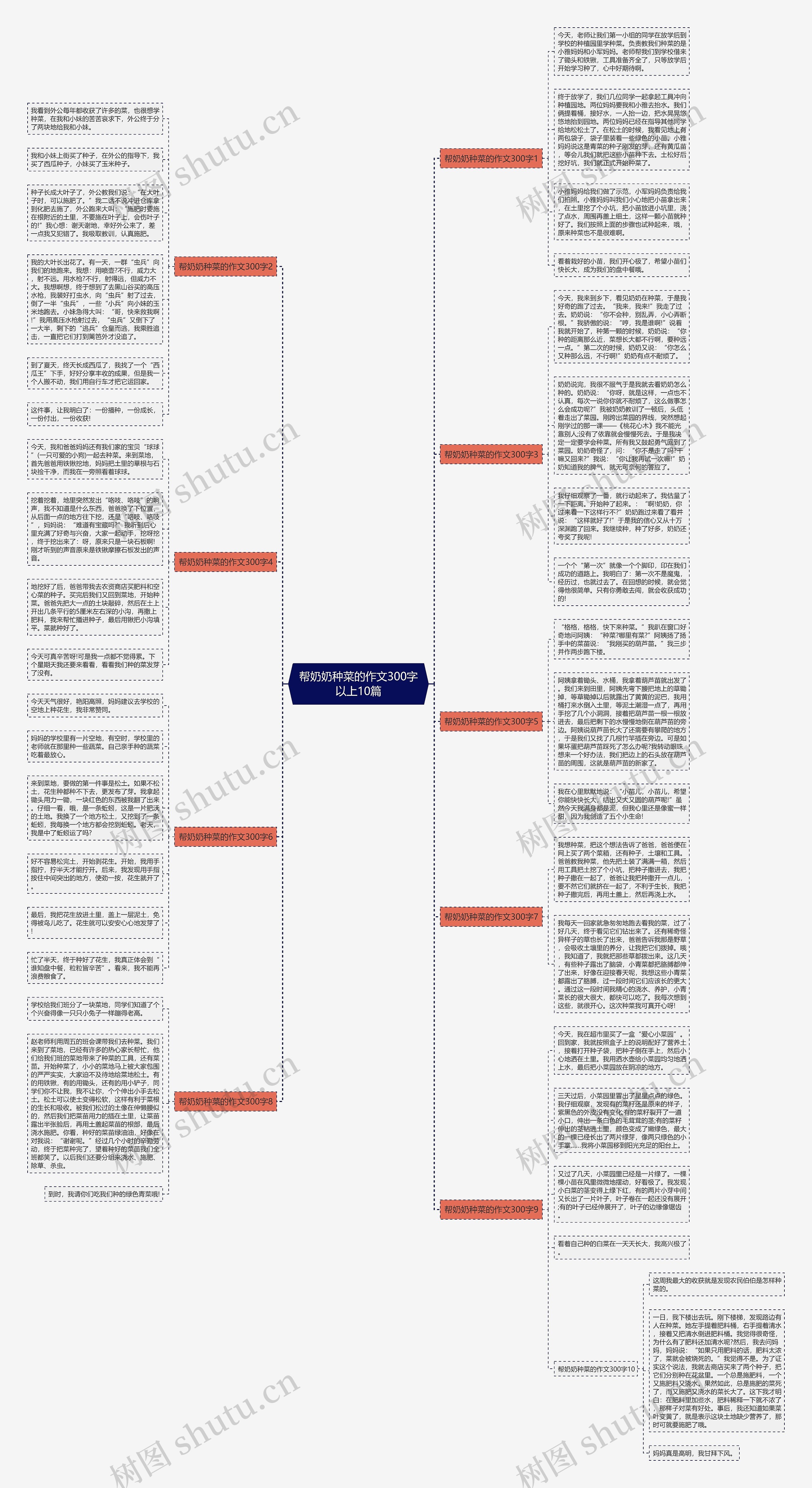 帮奶奶种菜的作文300字以上10篇思维导图