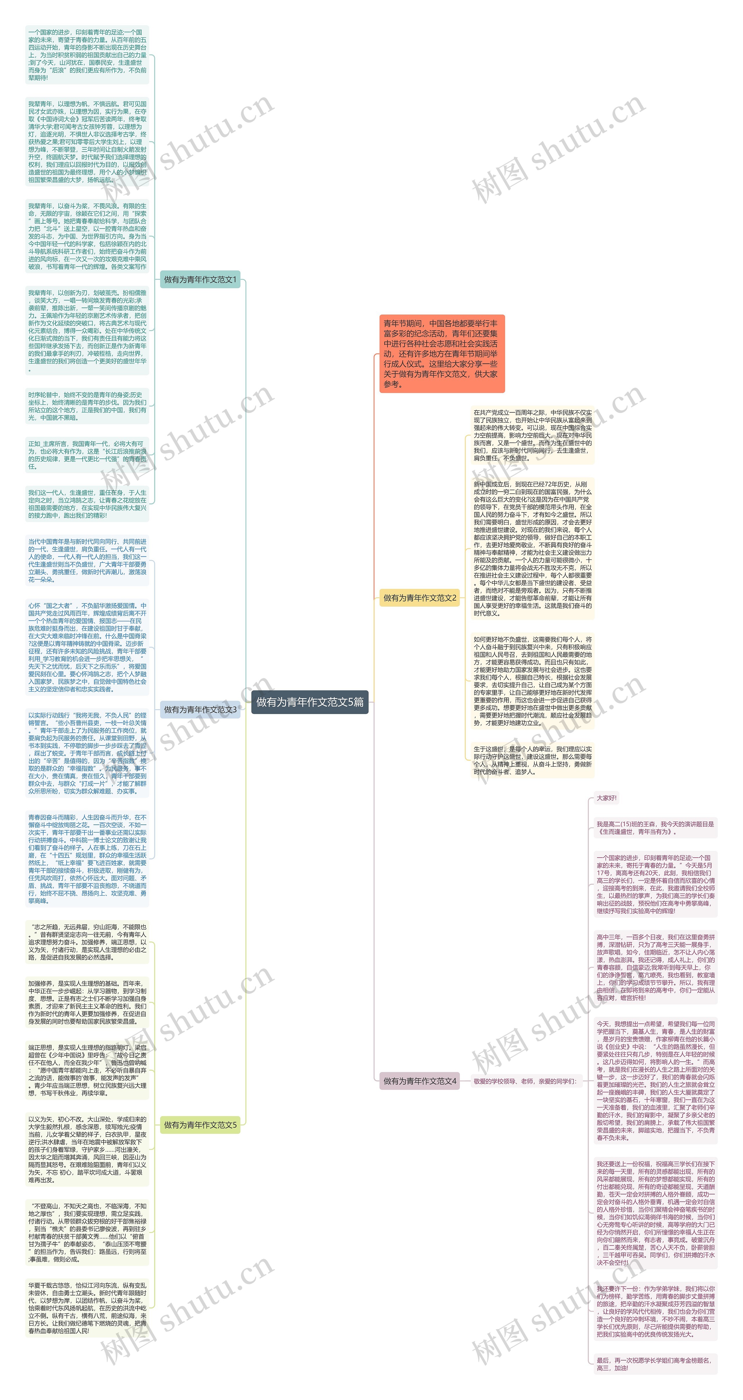 做有为青年作文范文5篇思维导图