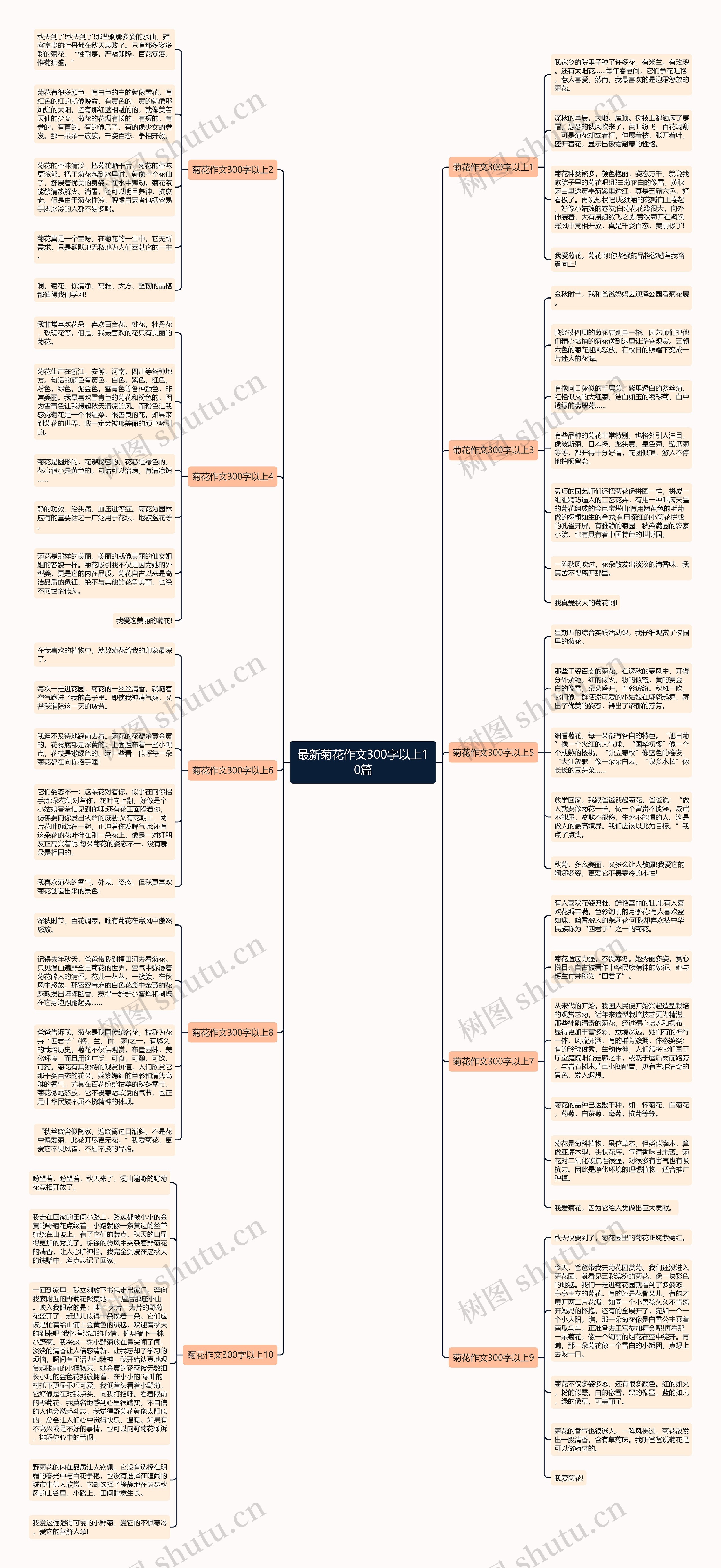最新菊花作文300字以上10篇思维导图