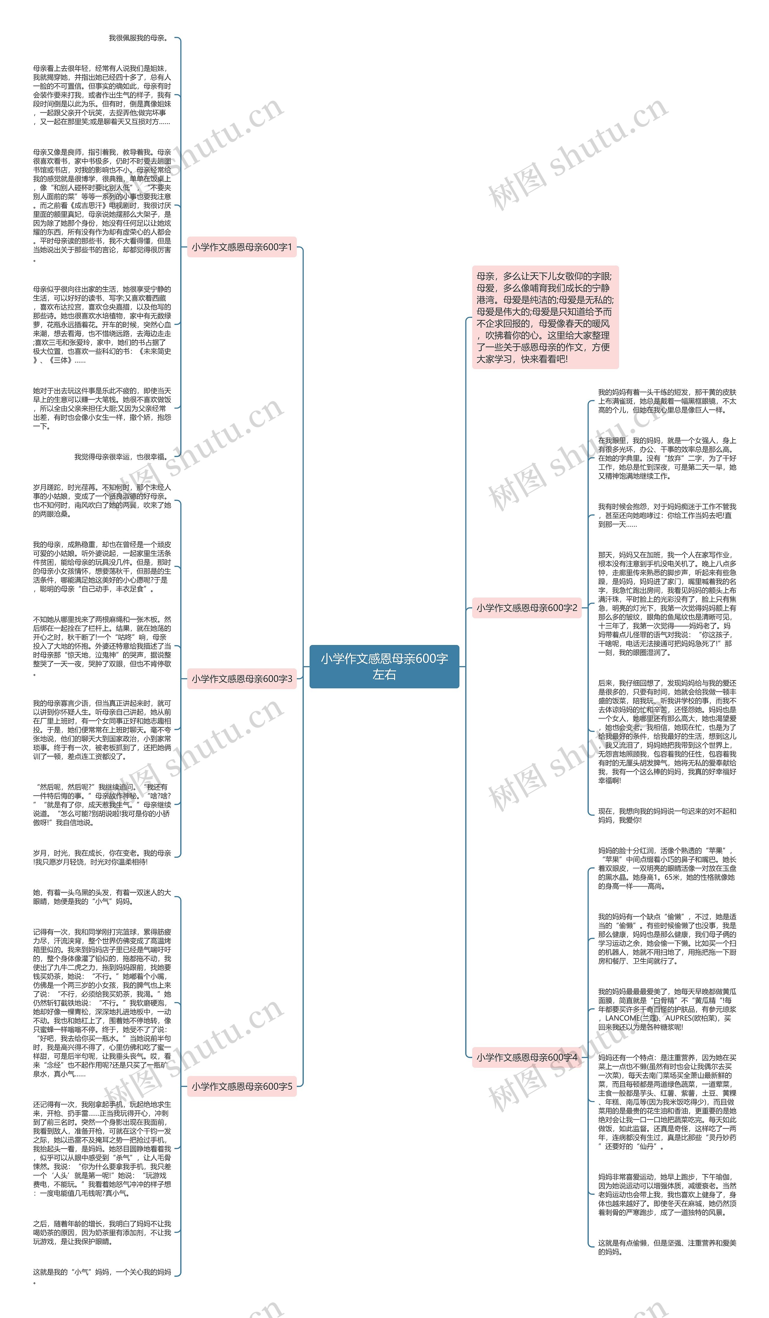 小学作文感恩母亲600字左右思维导图