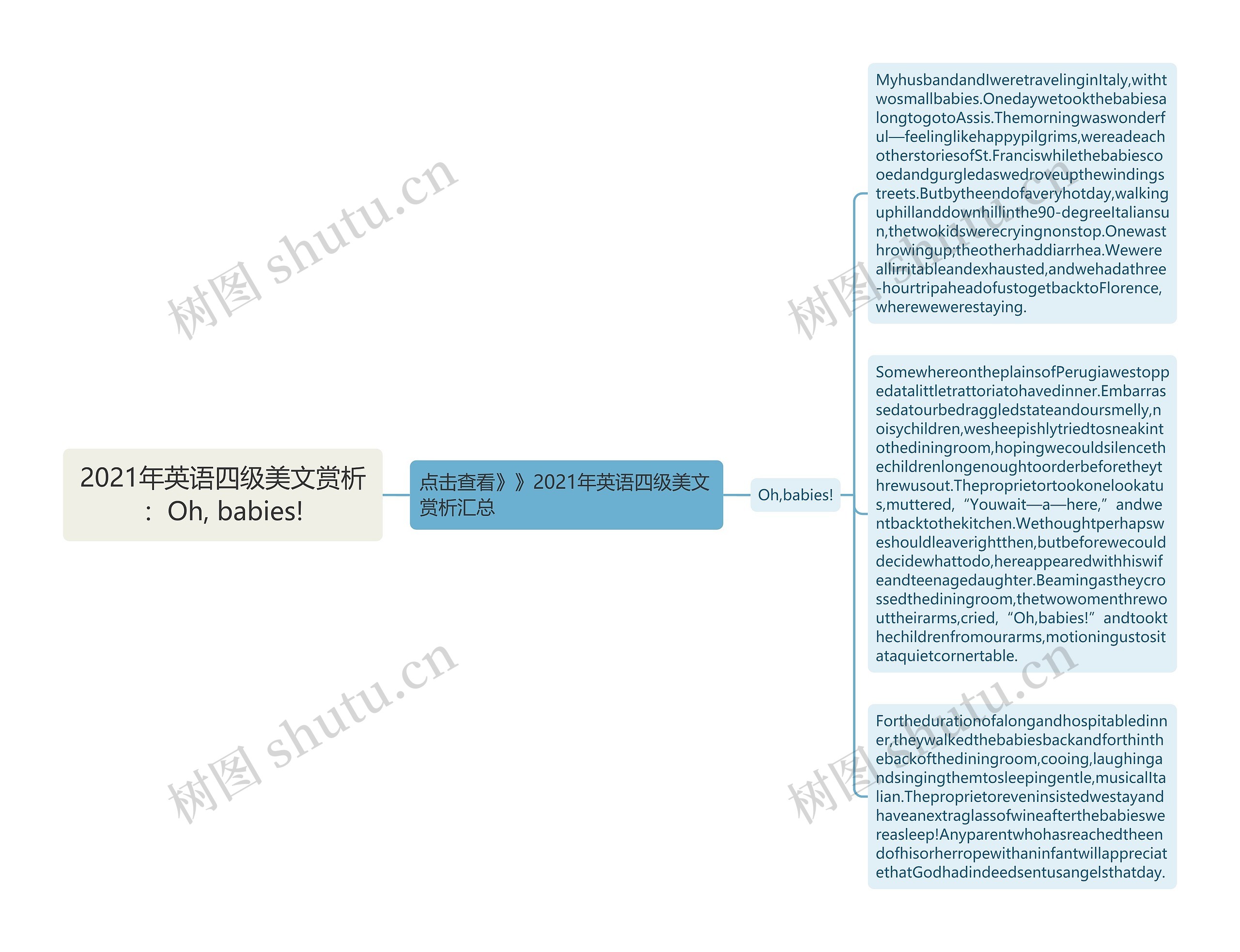 2021年英语四级美文赏析：Oh, babies!思维导图