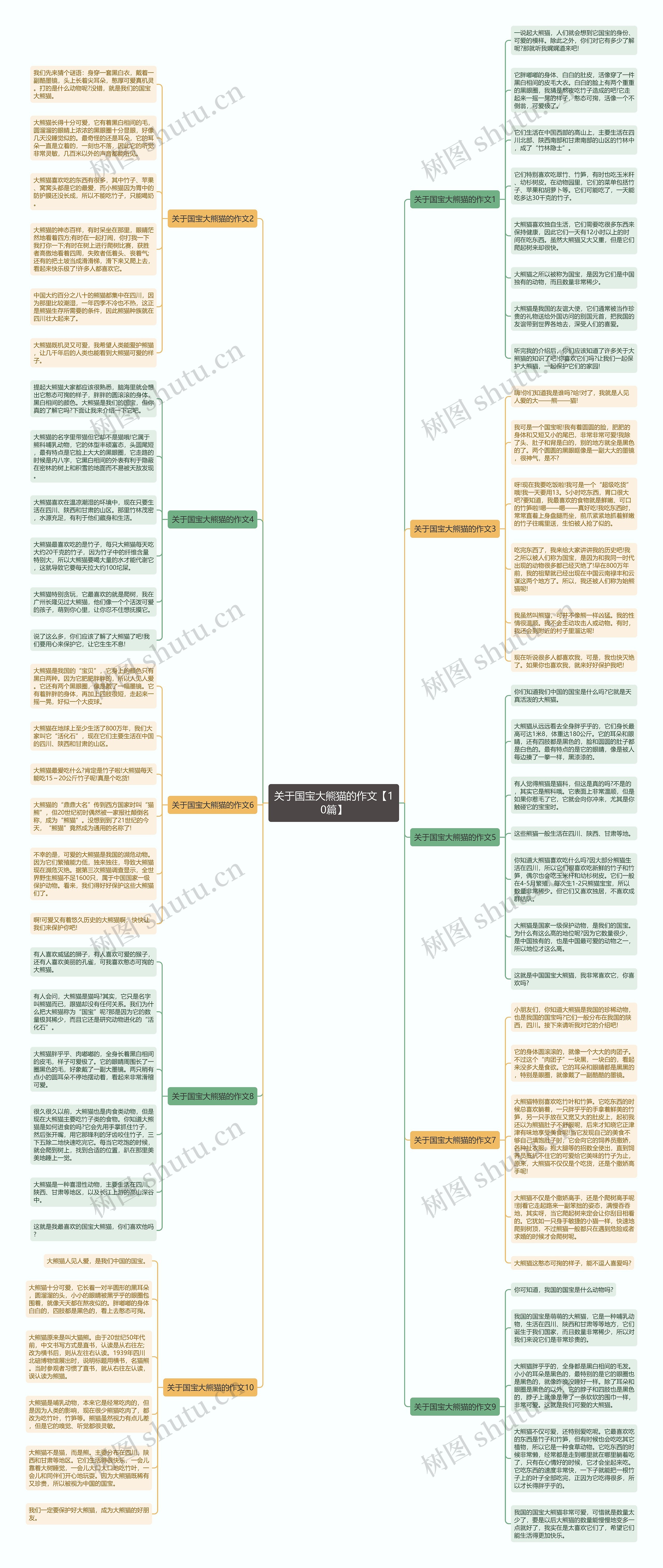 关于国宝大熊猫的作文【10篇】思维导图