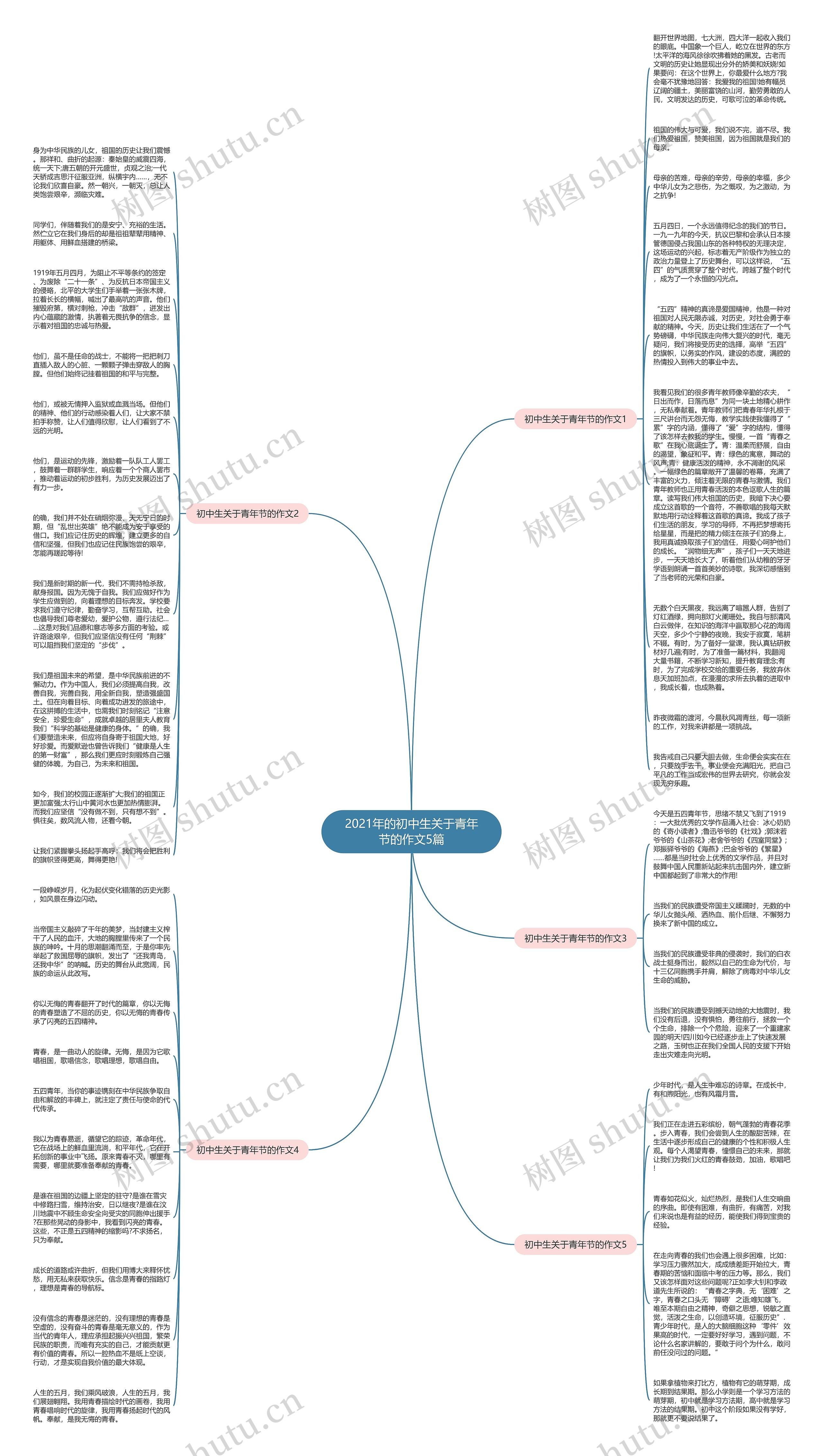 2021年的初中生关于青年节的作文5篇思维导图