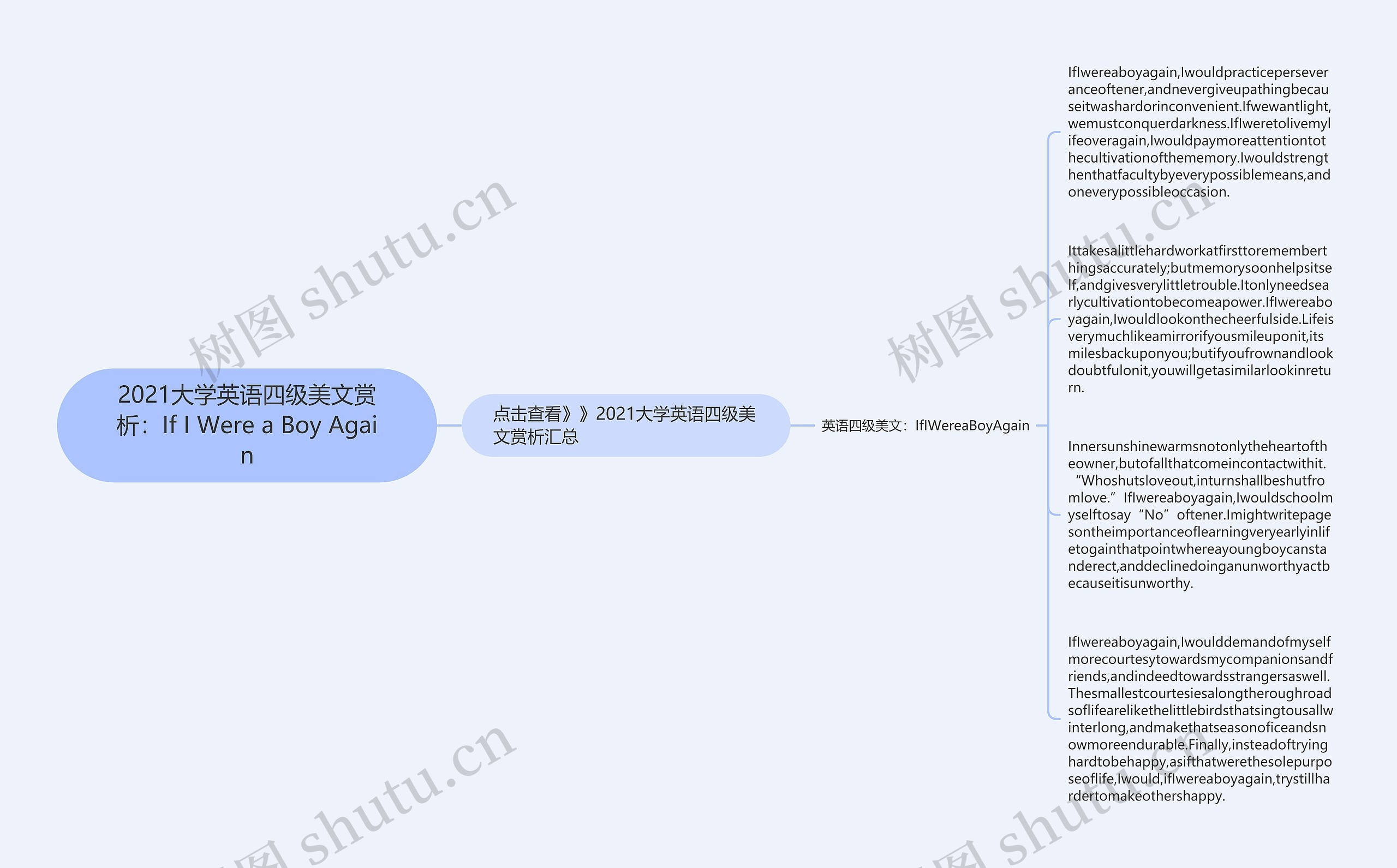 2021大学英语四级美文赏析：If I Were a Boy Again思维导图