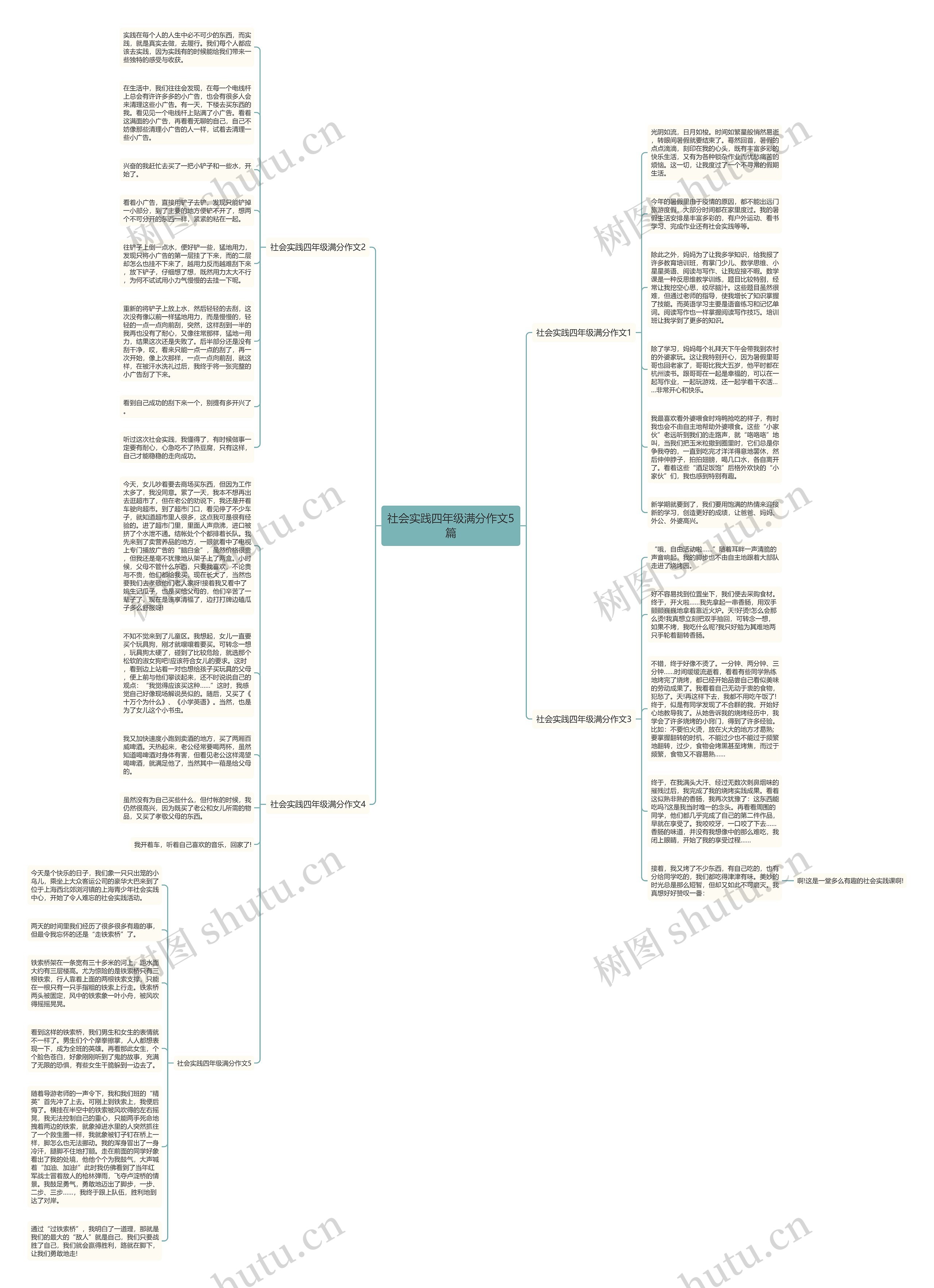 社会实践四年级满分作文5篇思维导图