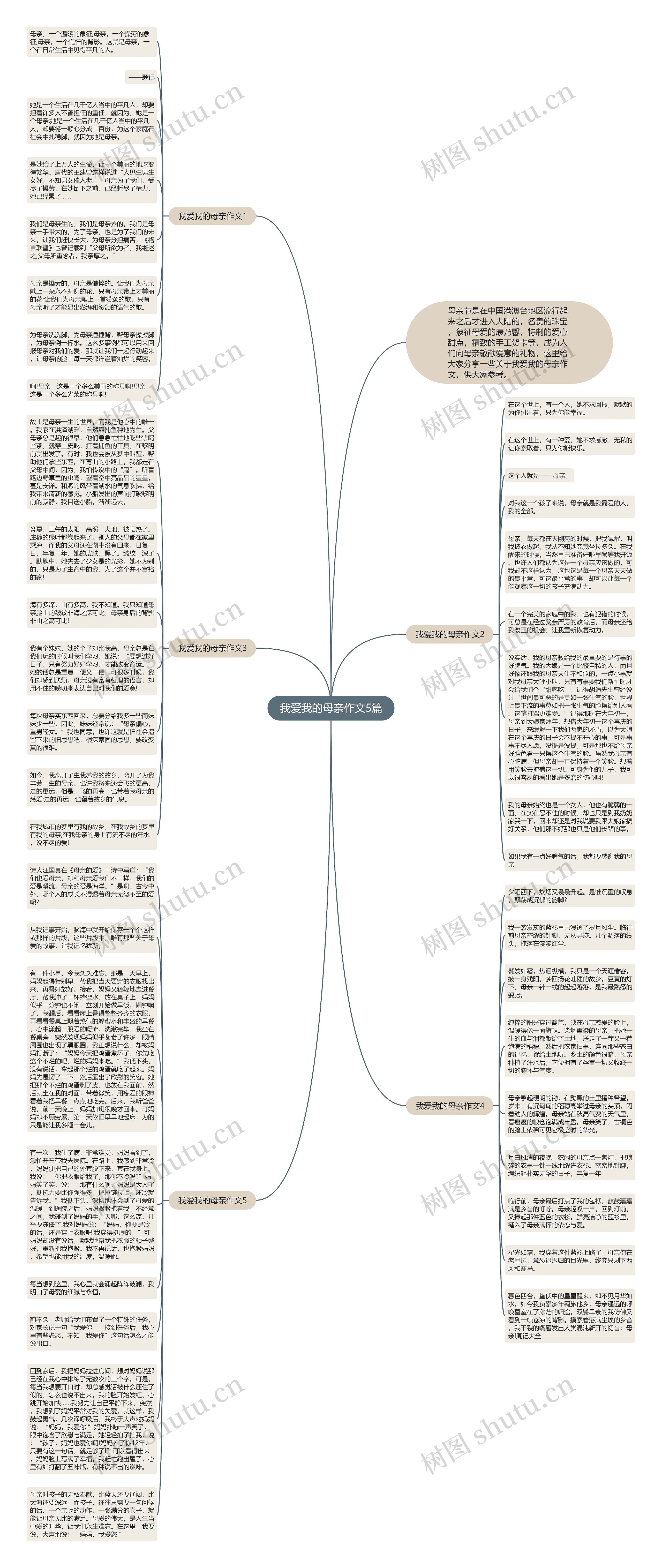我爱我的母亲作文5篇思维导图