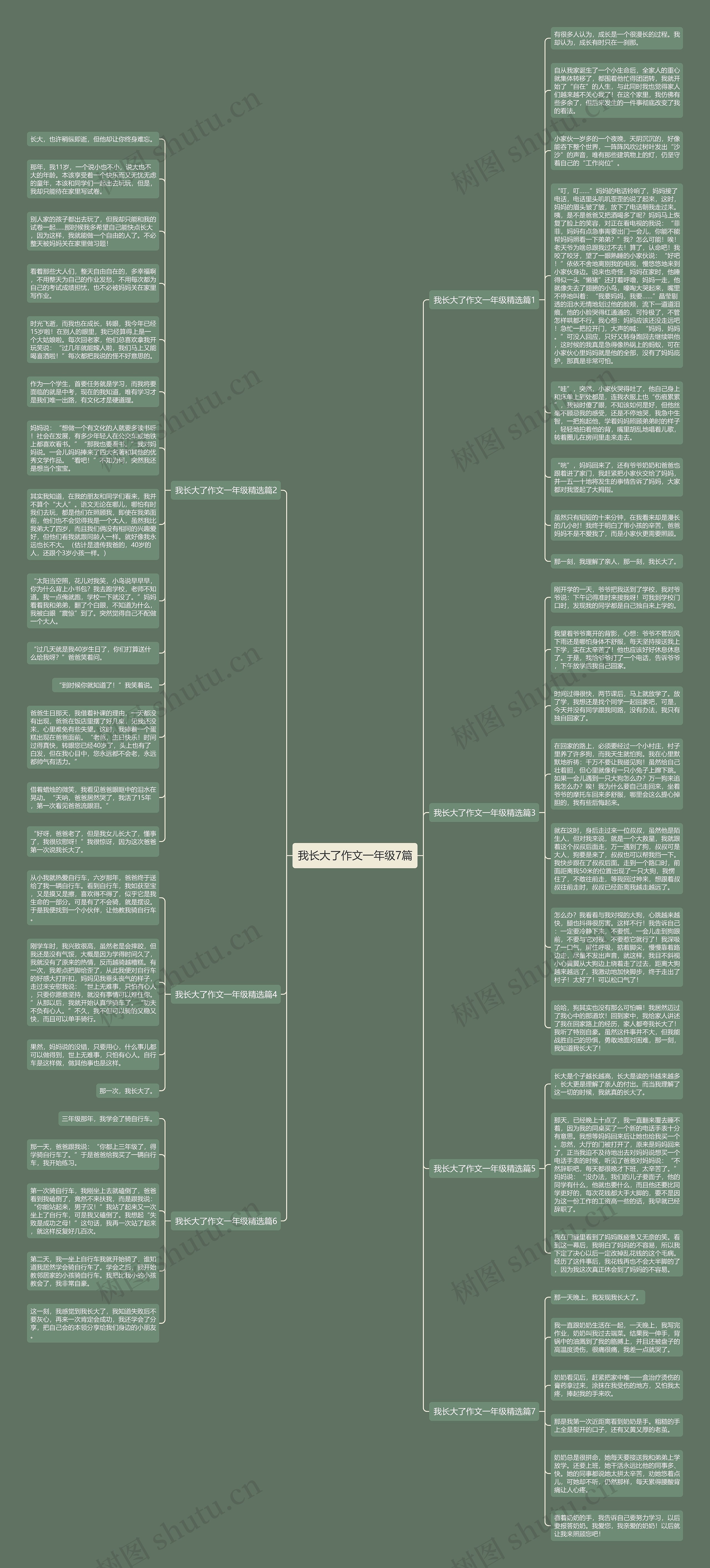 我长大了作文一年级7篇思维导图