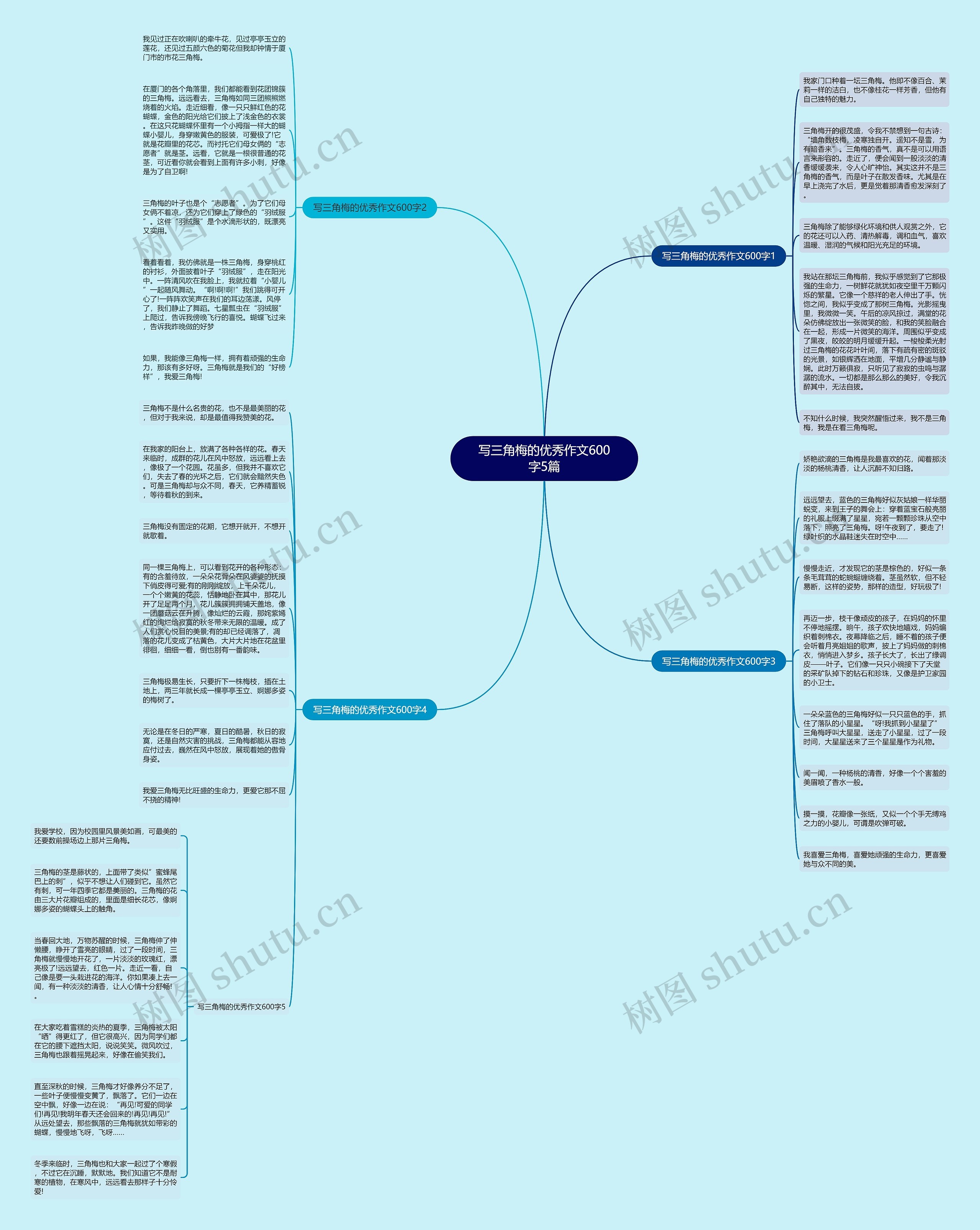 写三角梅的优秀作文600字5篇