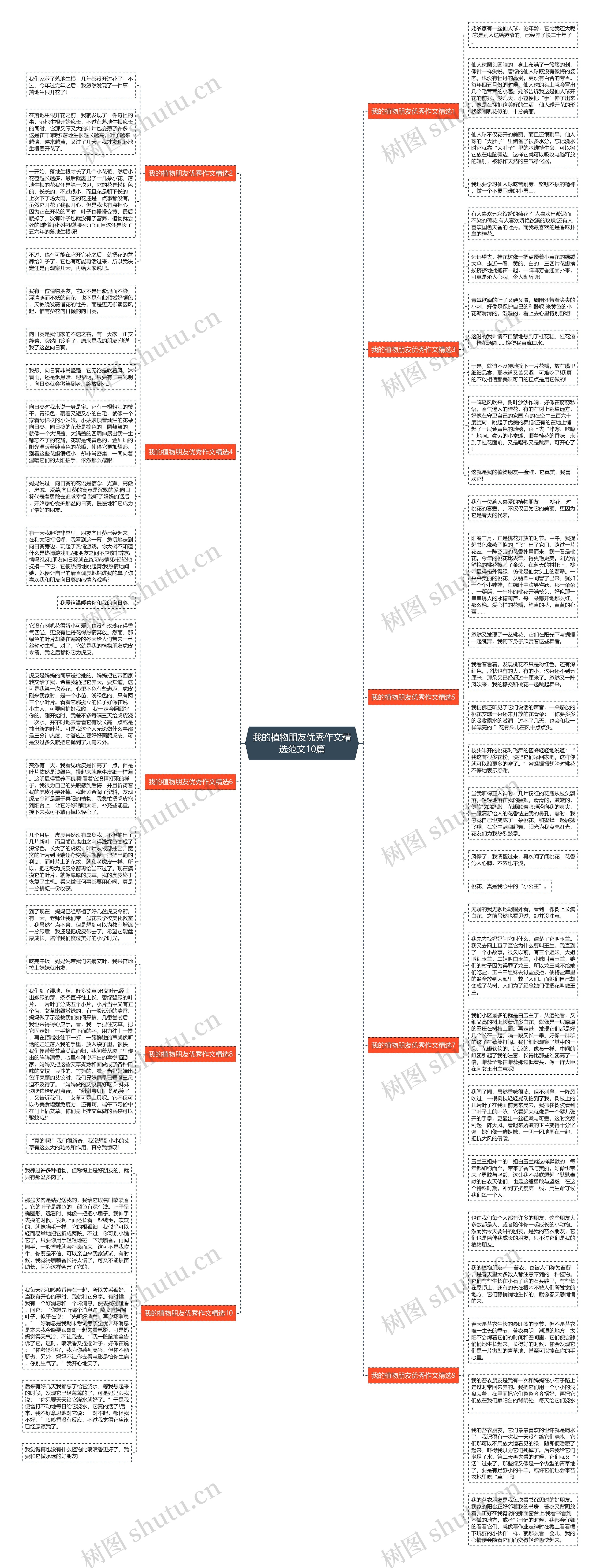我的植物朋友优秀作文精选范文10篇思维导图