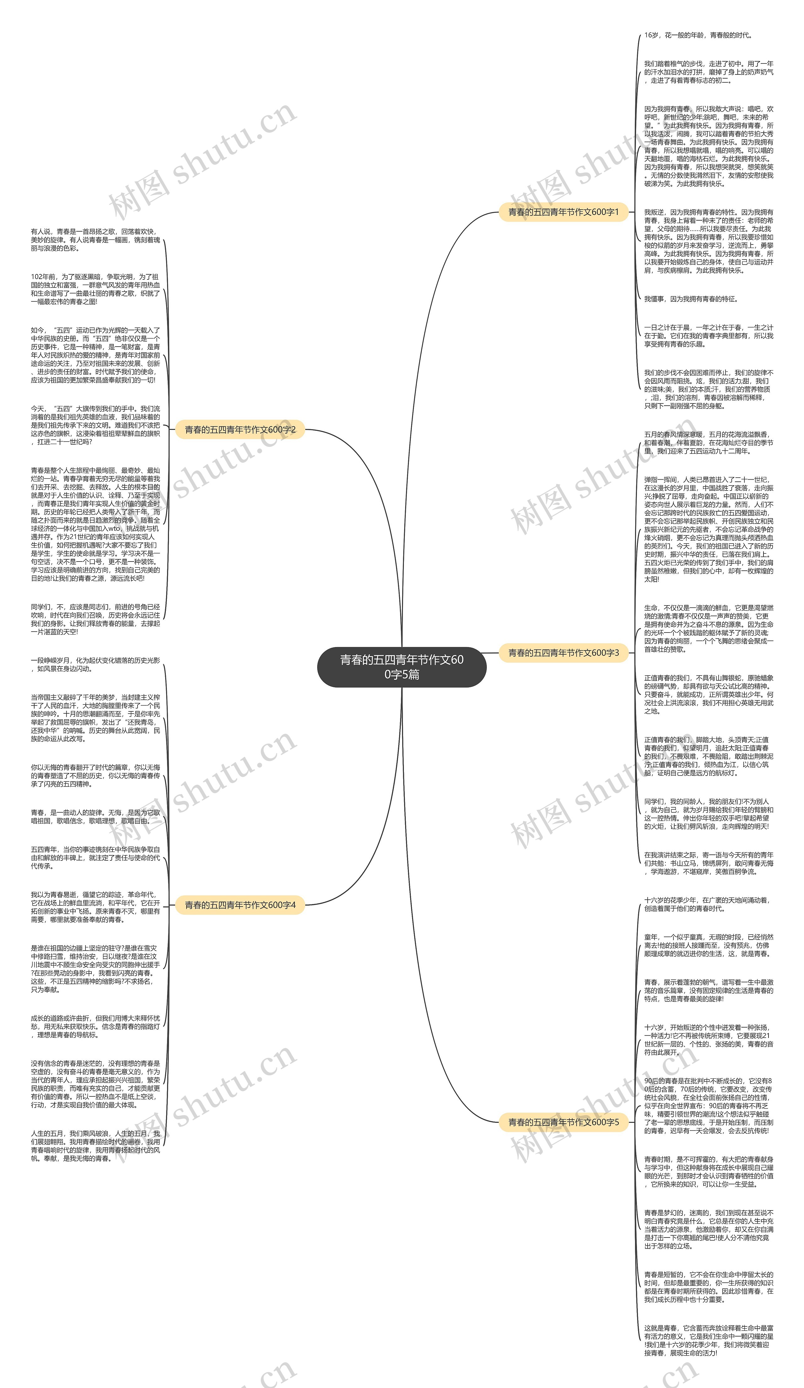 青春的五四青年节作文600字5篇思维导图