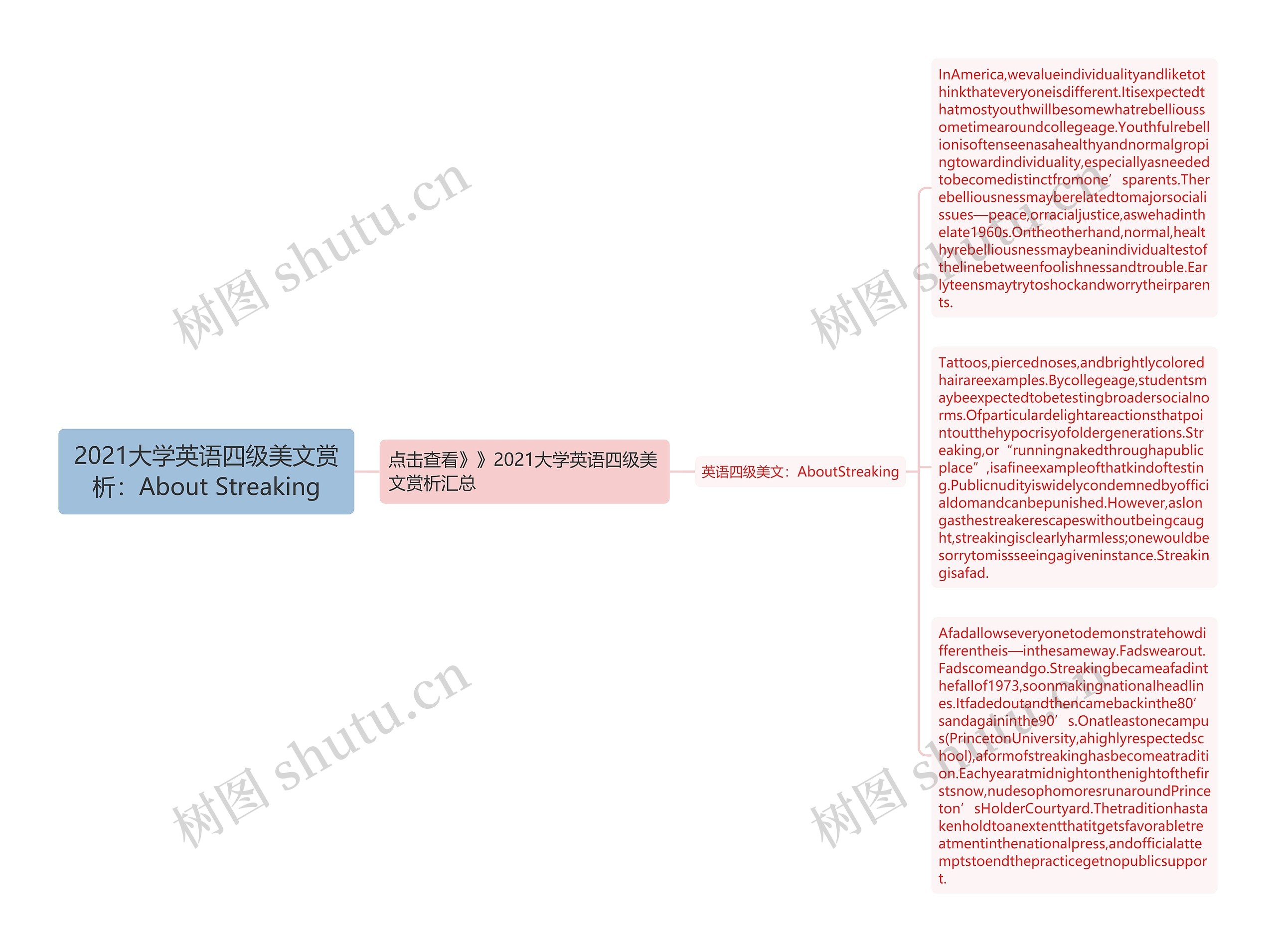 2021大学英语四级美文赏析：About Streaking