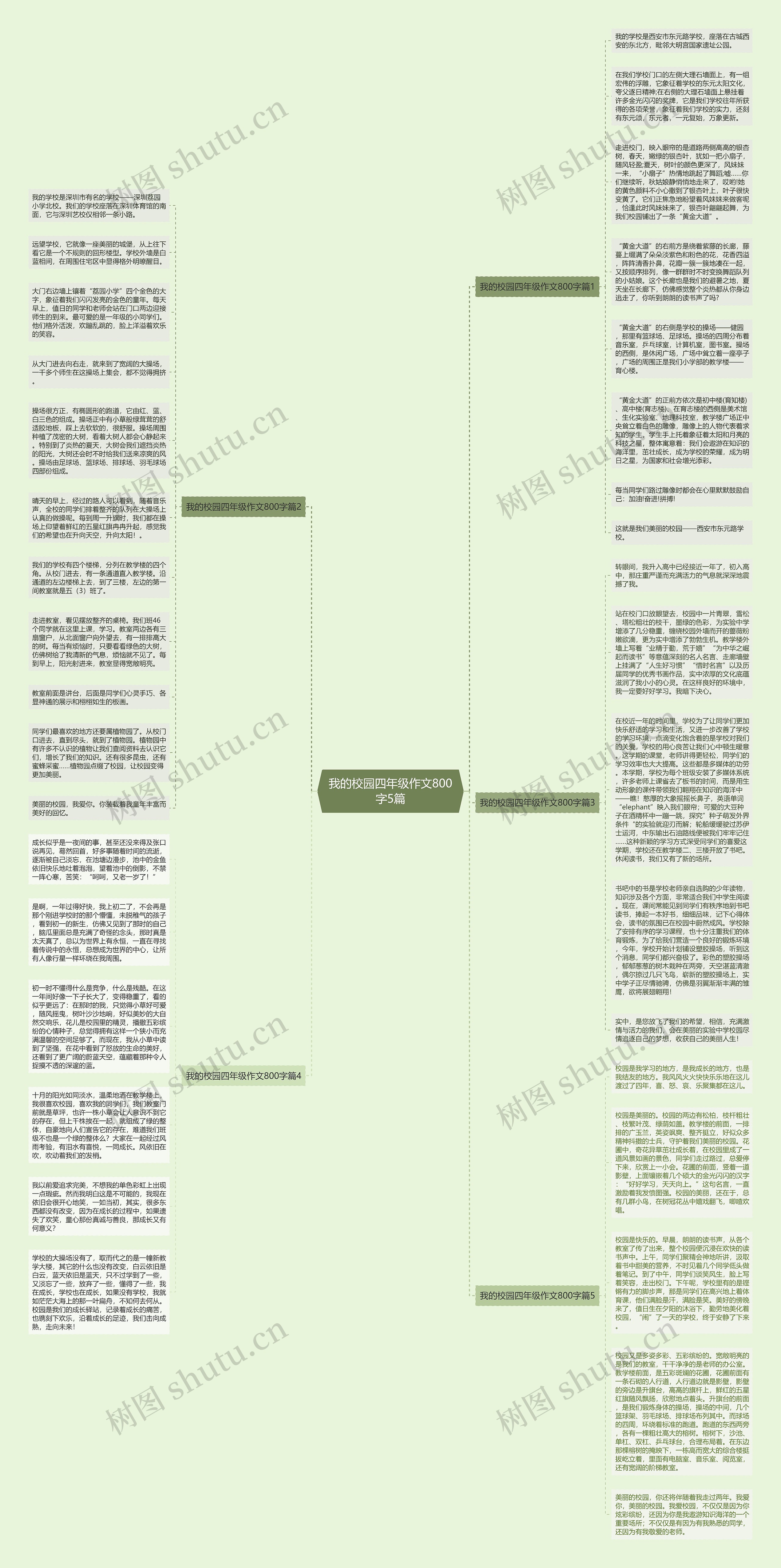 我的校园四年级作文800字5篇思维导图