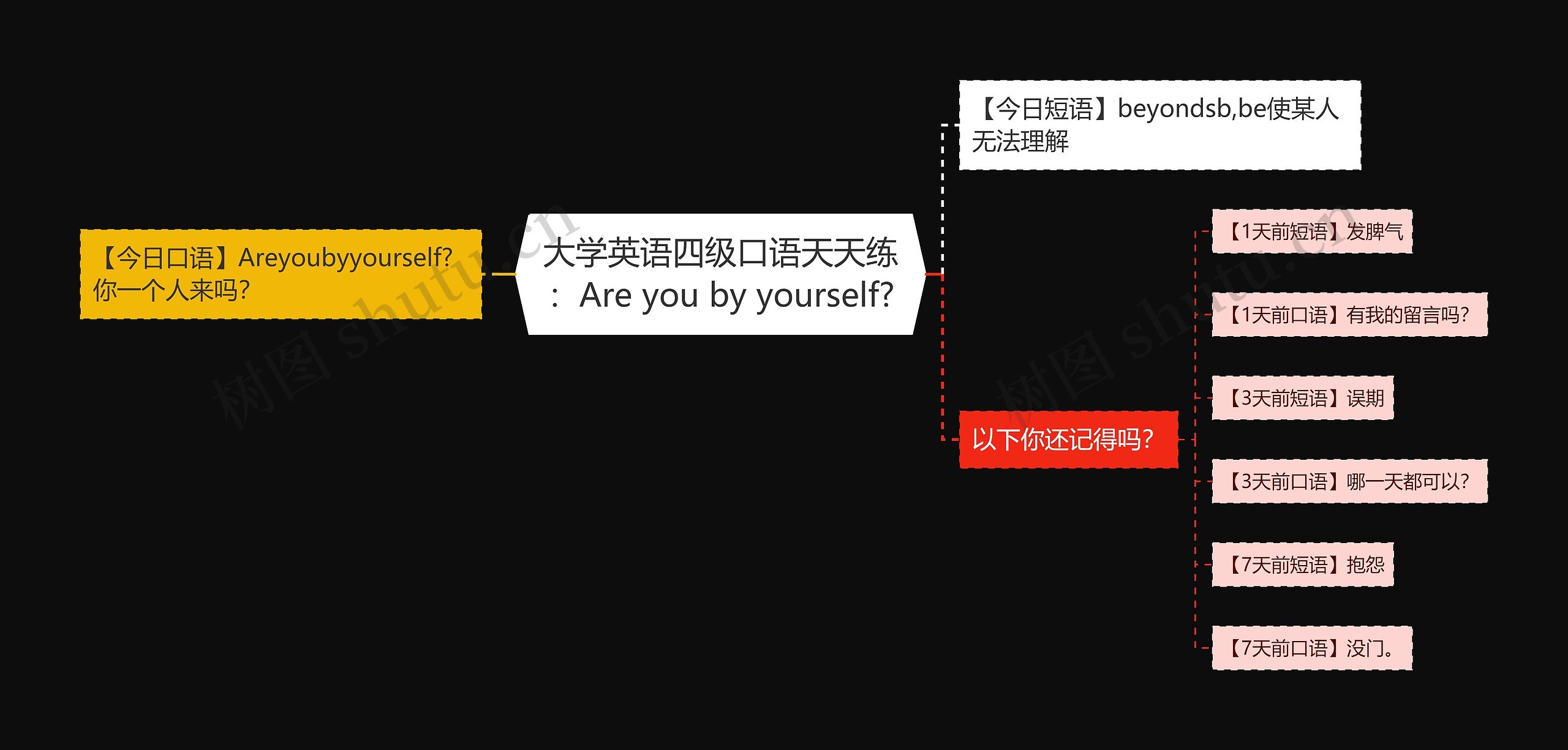 大学英语四级口语天天练：Are you by yourself?思维导图