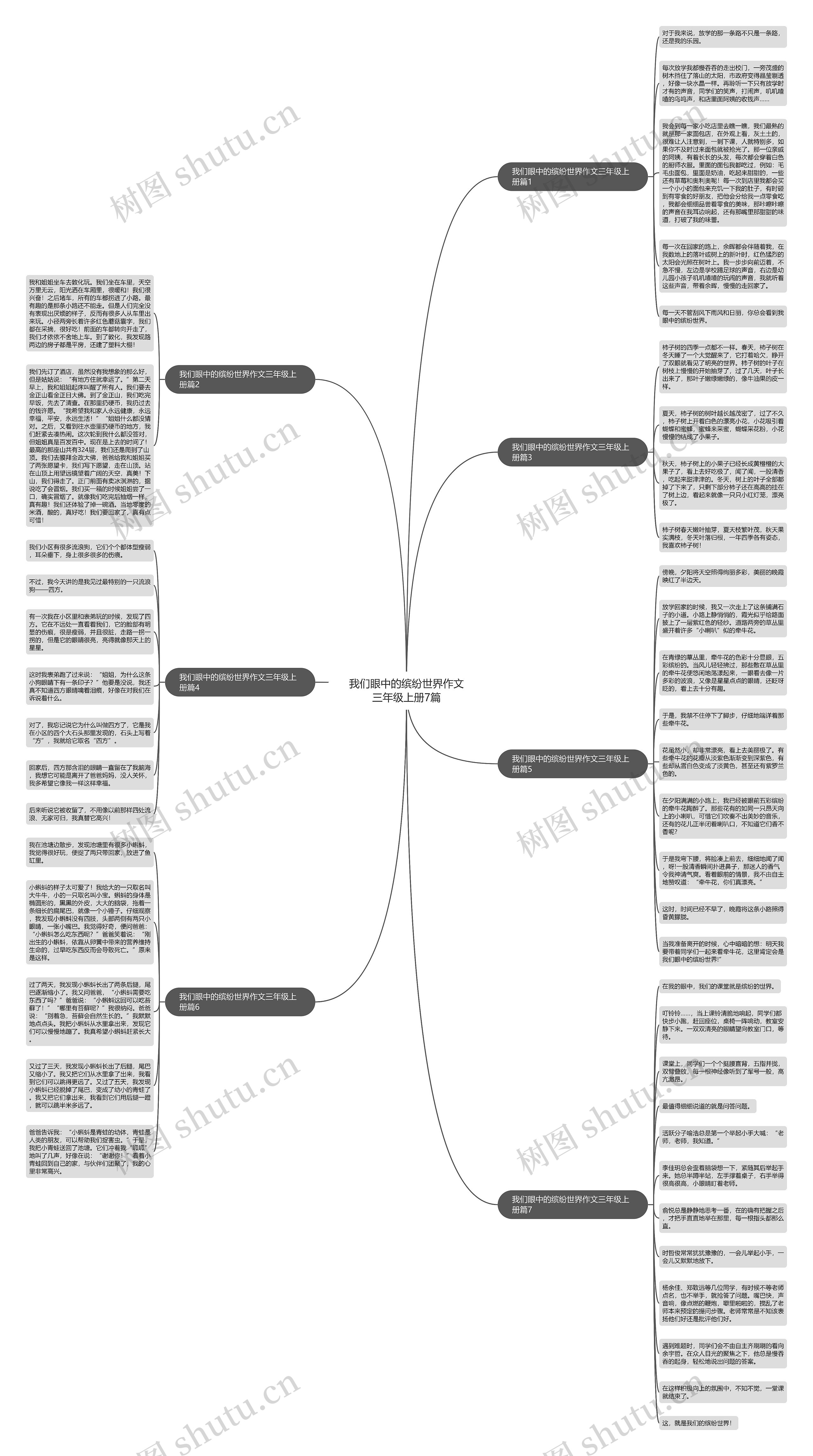 我们眼中的缤纷世界作文三年级上册7篇思维导图