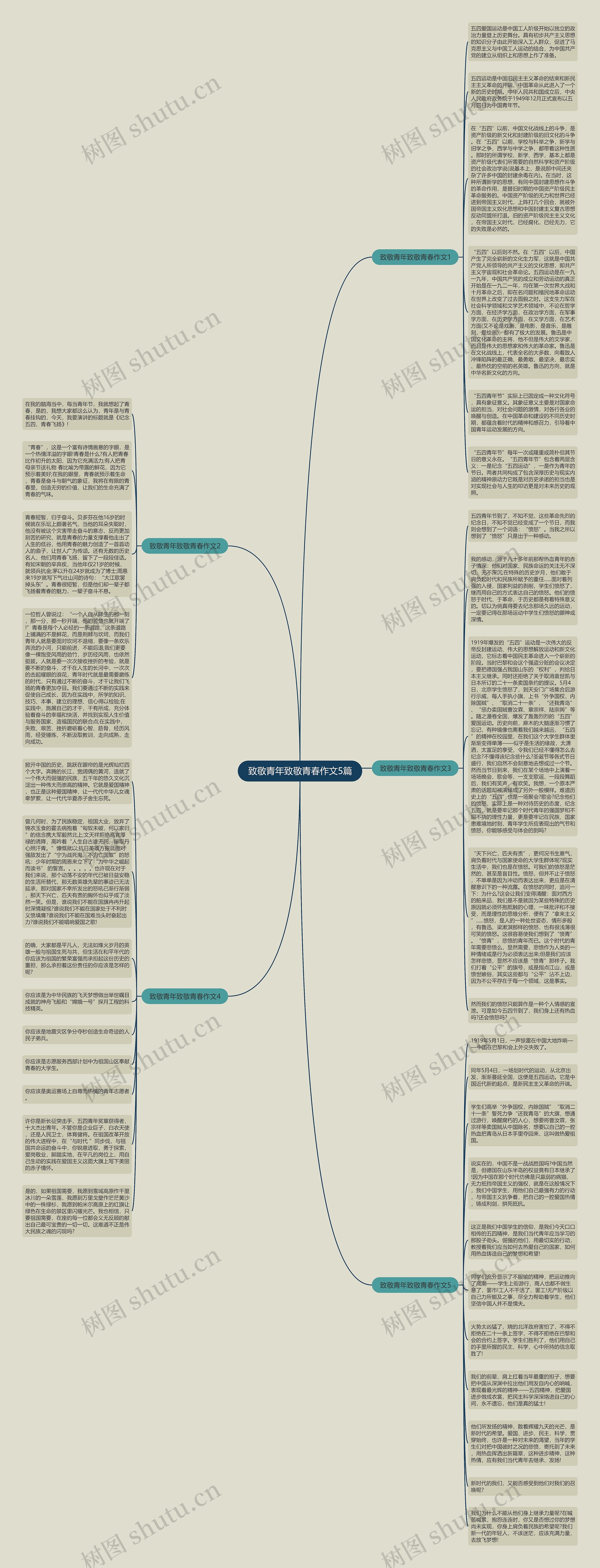 致敬青年致敬青春作文5篇思维导图