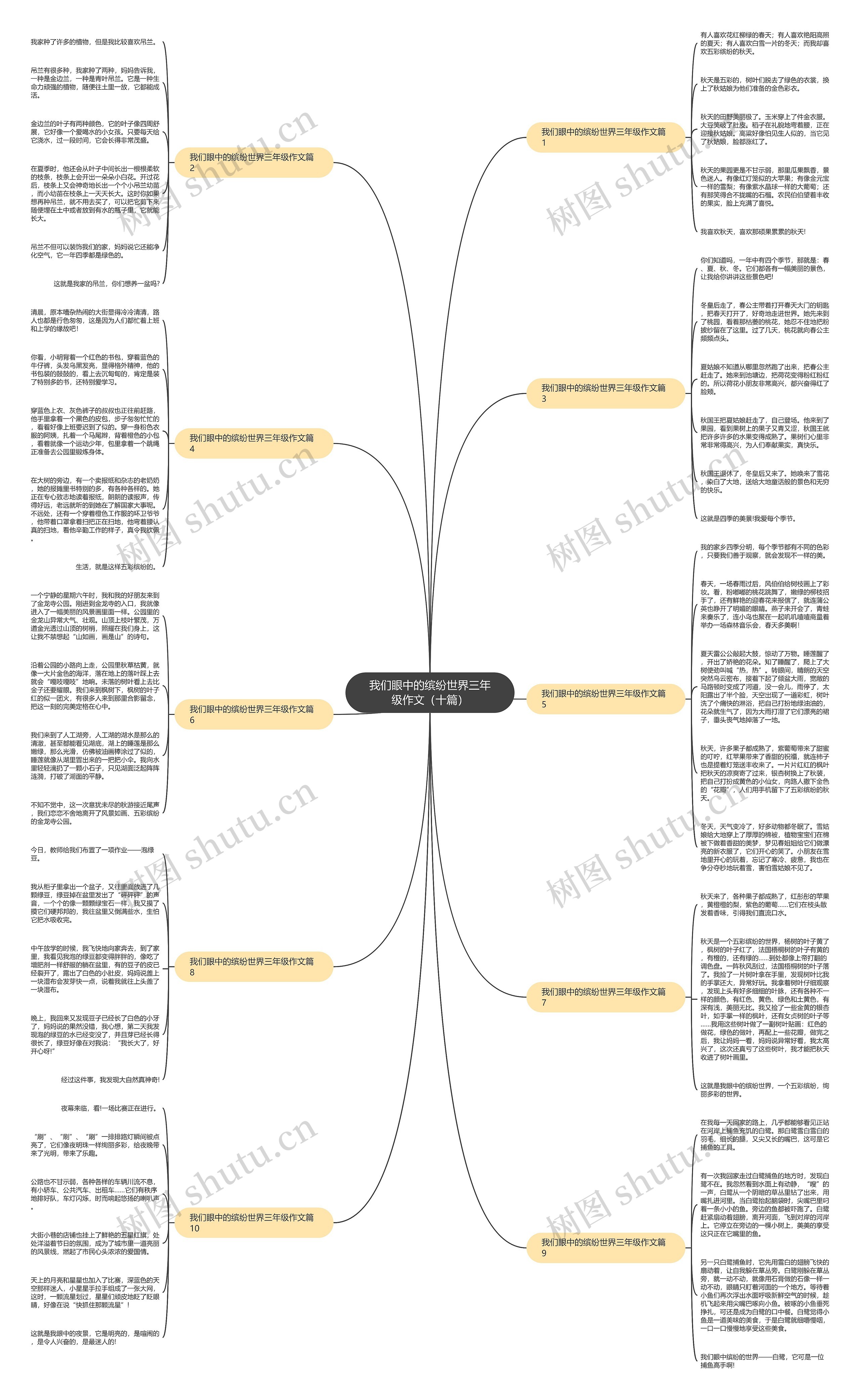 我们眼中的缤纷世界三年级作文（十篇）思维导图