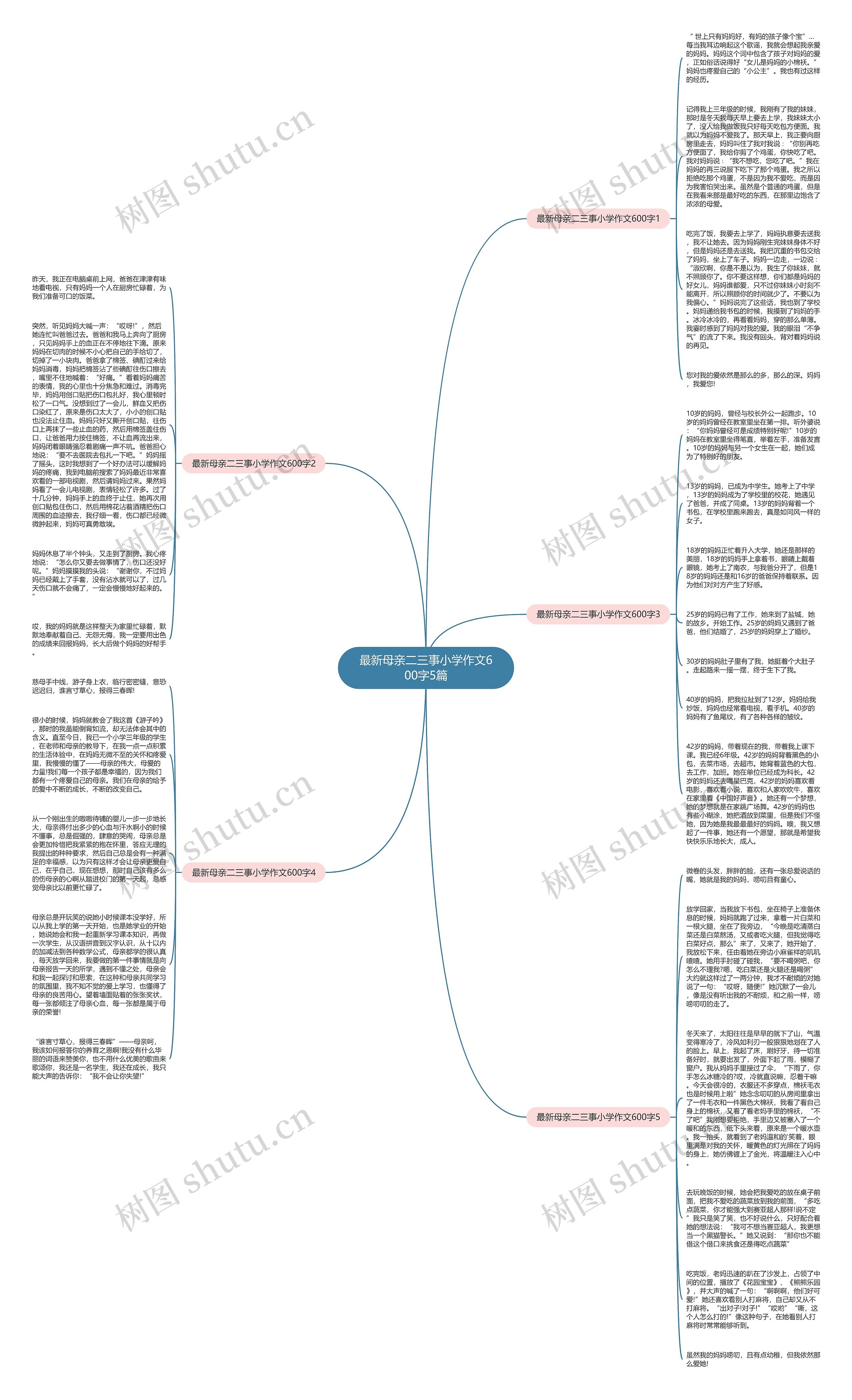 最新母亲二三事小学作文600字5篇思维导图