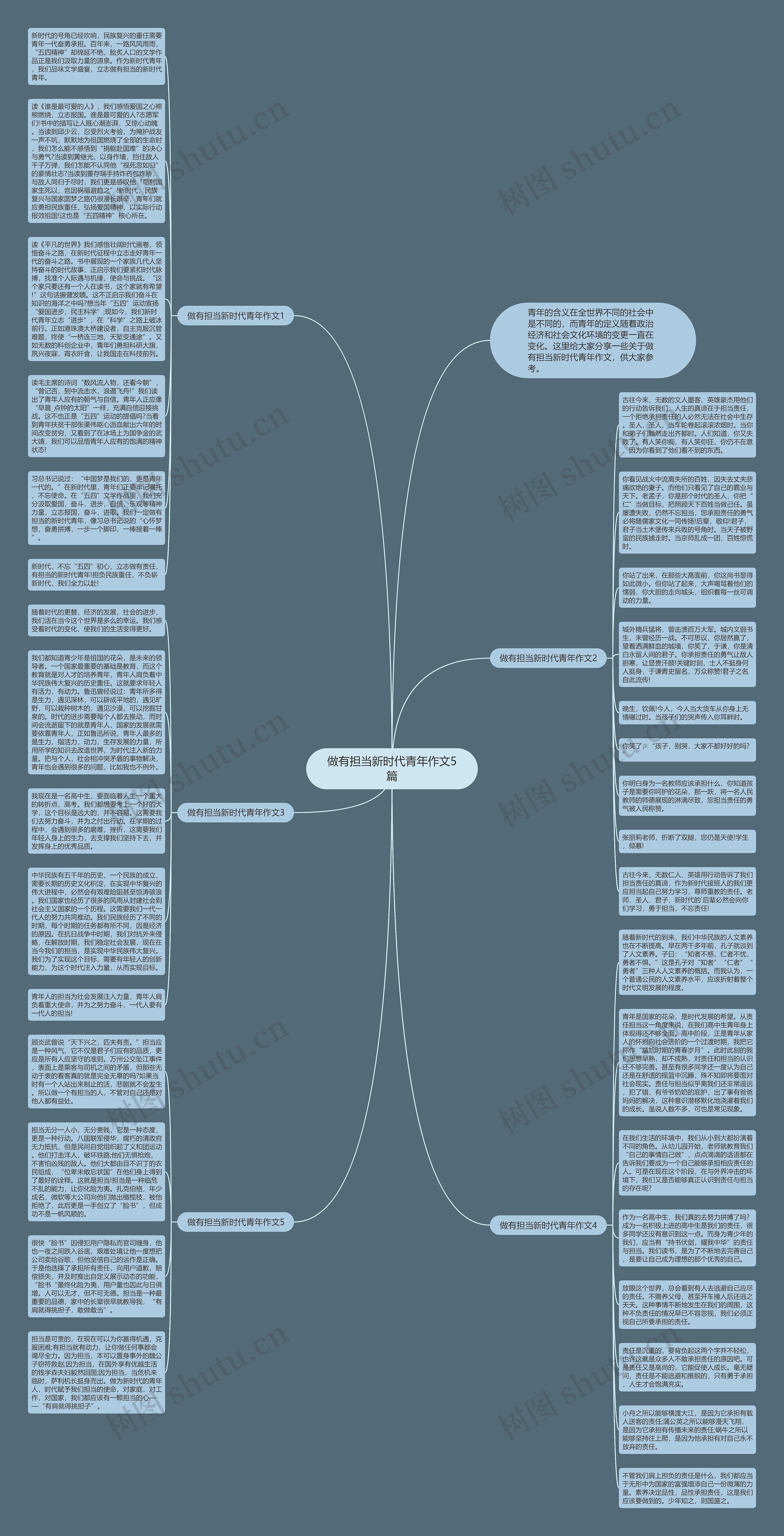 做有担当新时代青年作文5篇思维导图