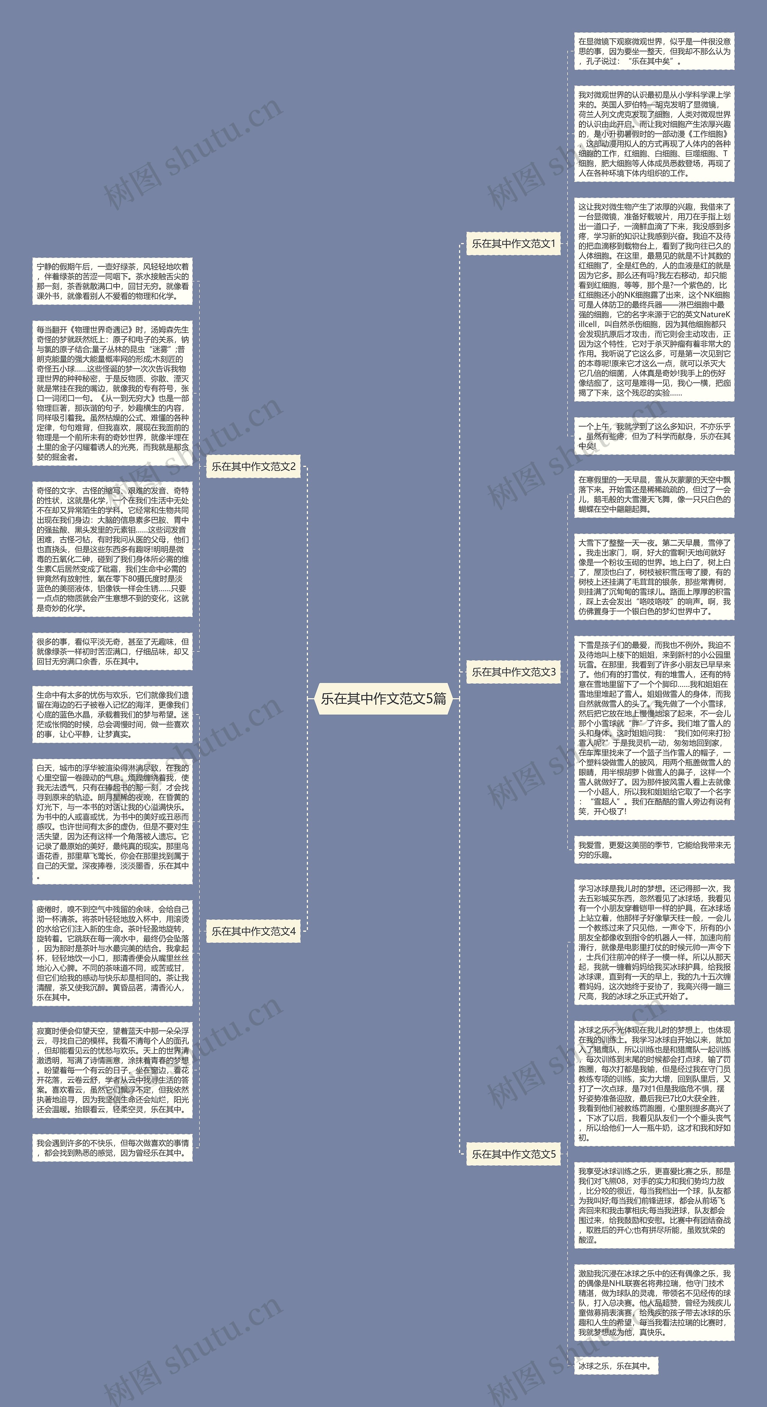 乐在其中作文范文5篇思维导图