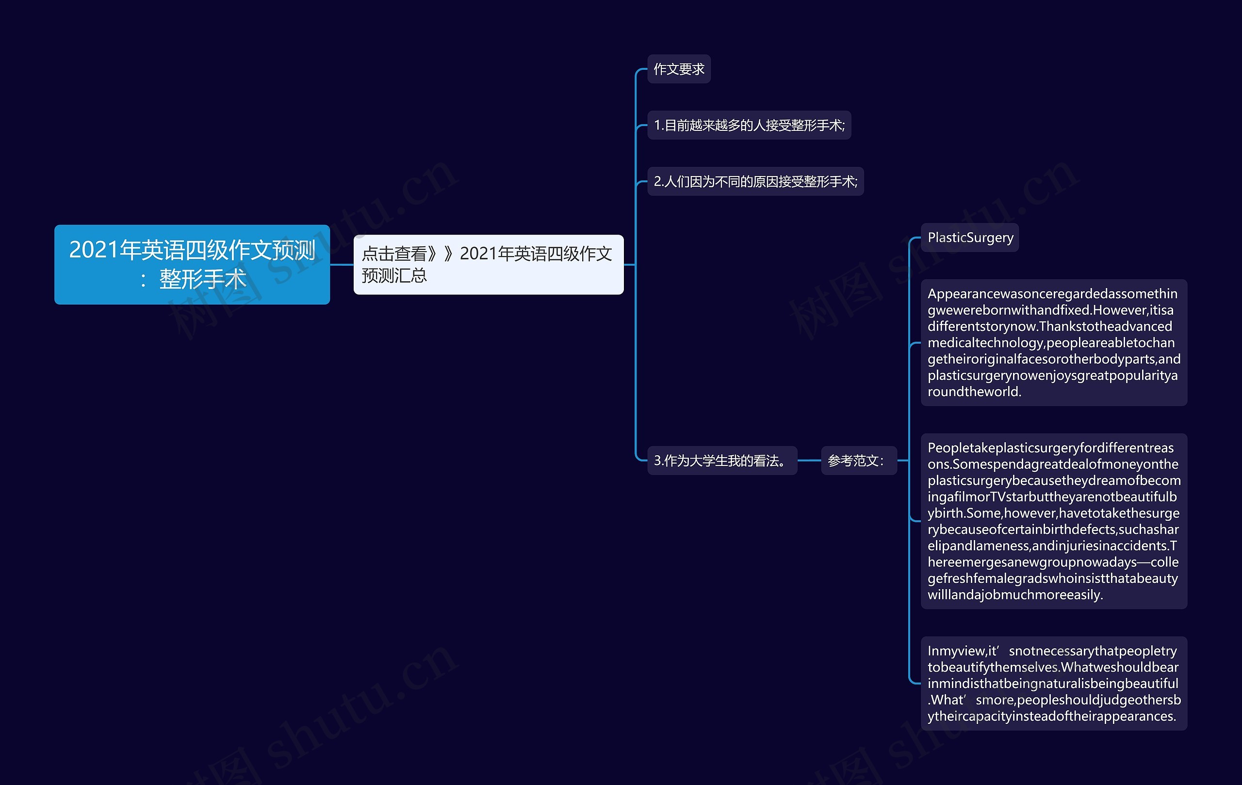 2021年英语四级作文预测：整形手术思维导图