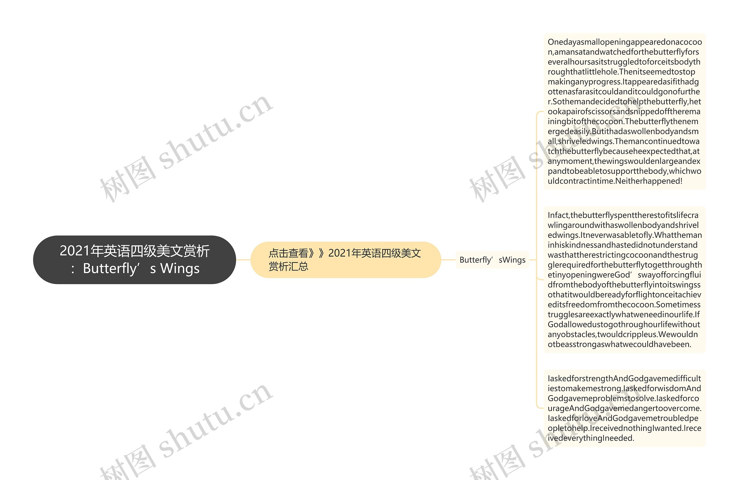 2021年英语四级美文赏析：Butterfly’s Wings思维导图