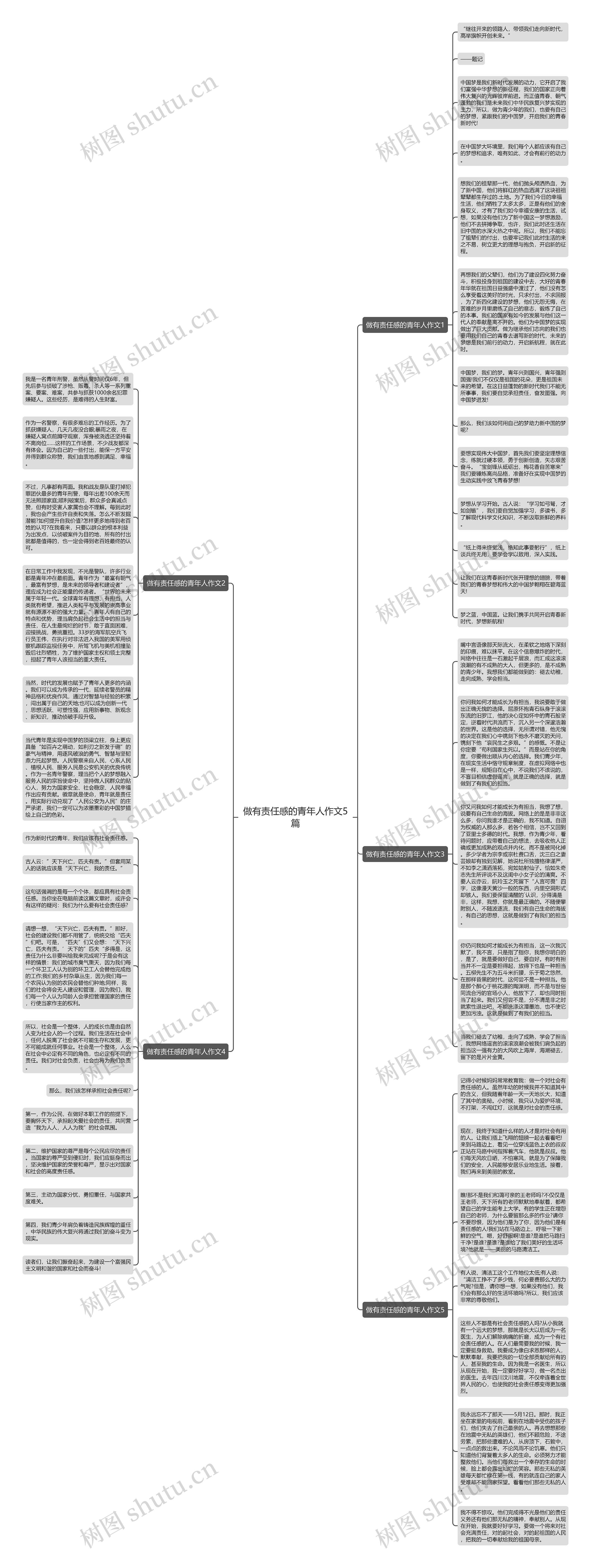 做有责任感的青年人作文5篇思维导图
