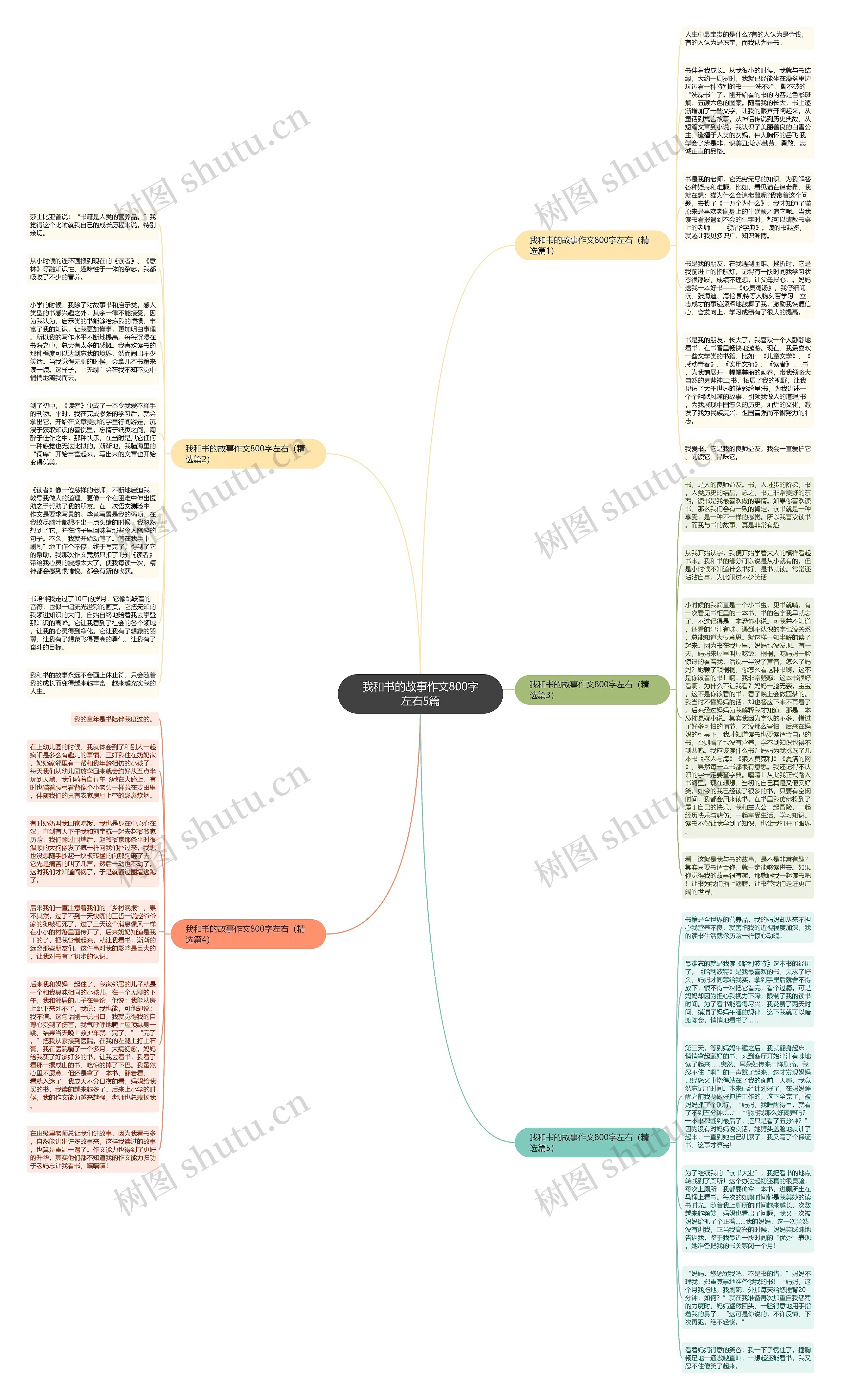 我和书的故事作文800字左右5篇思维导图