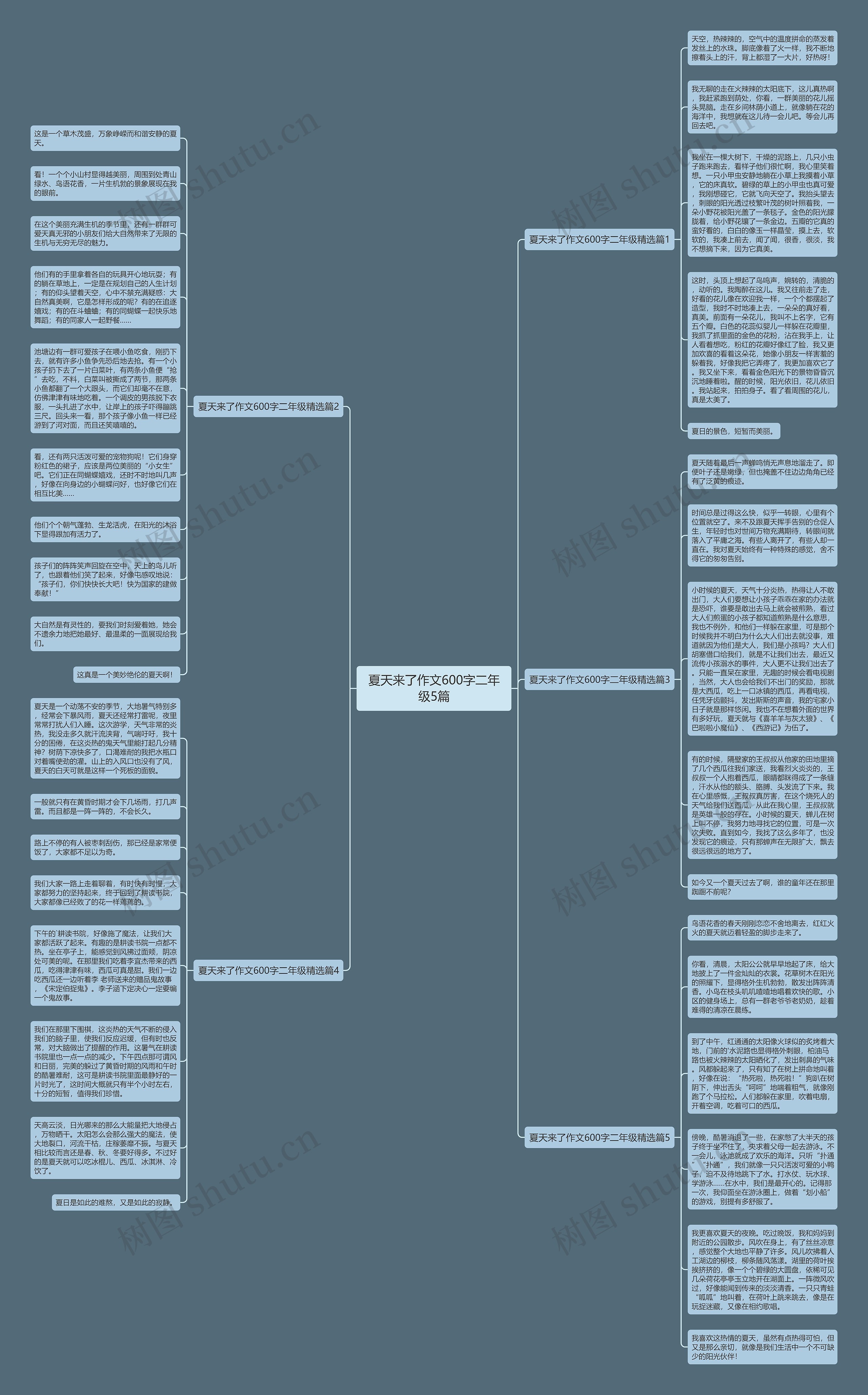 夏天来了作文600字二年级5篇思维导图