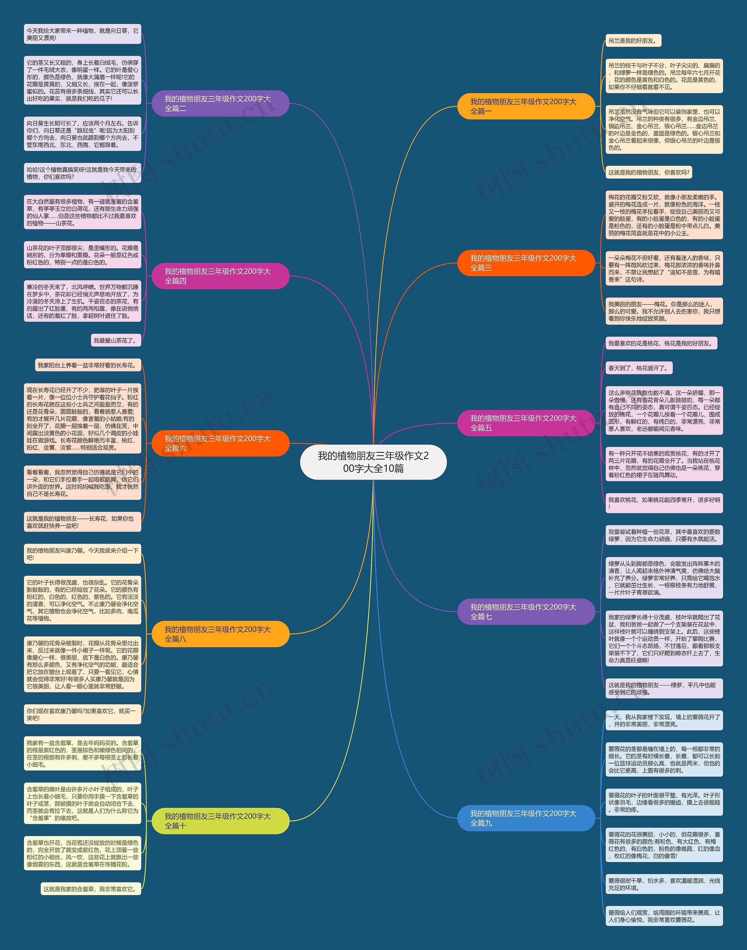 我的植物朋友三年级作文200字大全10篇思维导图