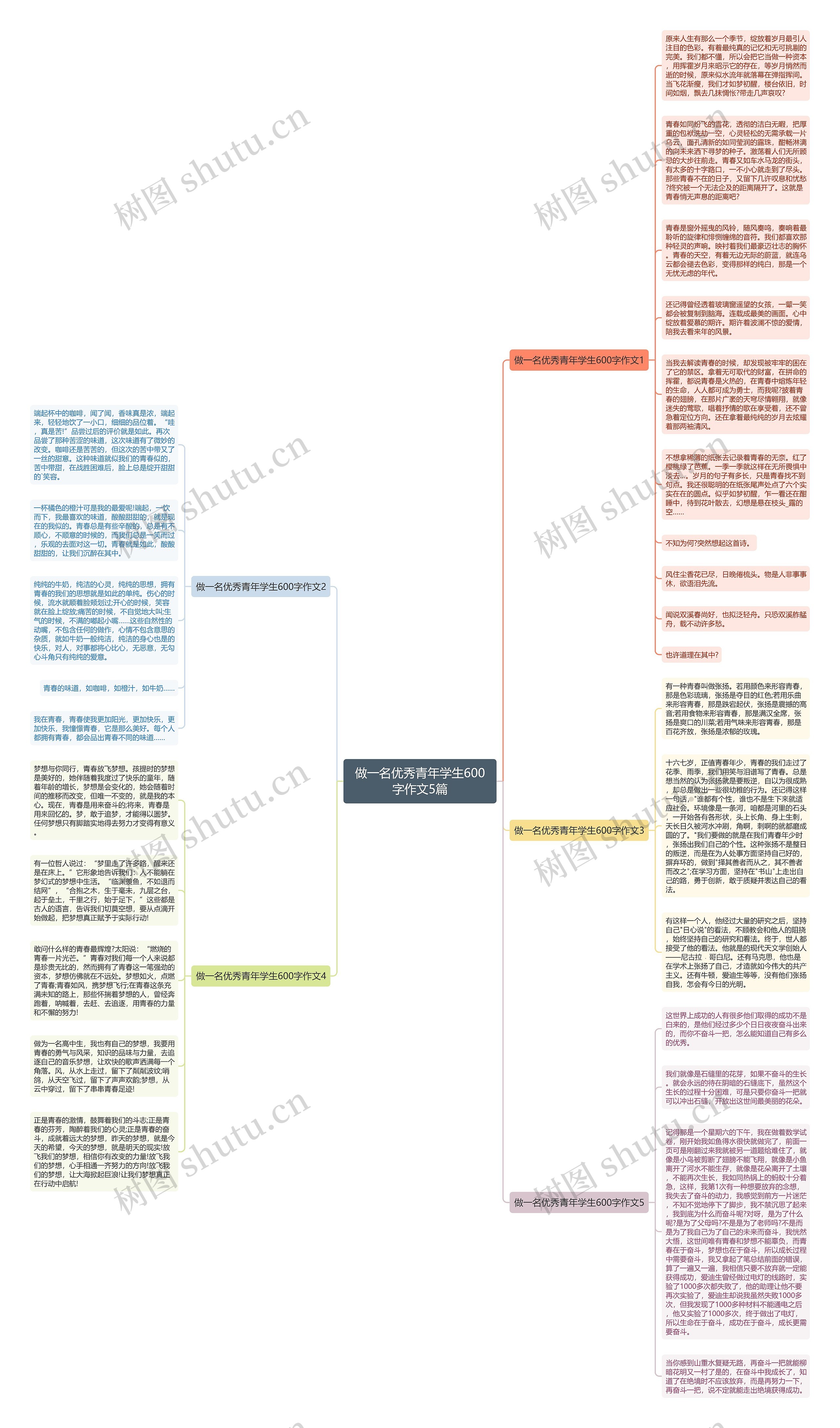 做一名优秀青年学生600字作文5篇思维导图