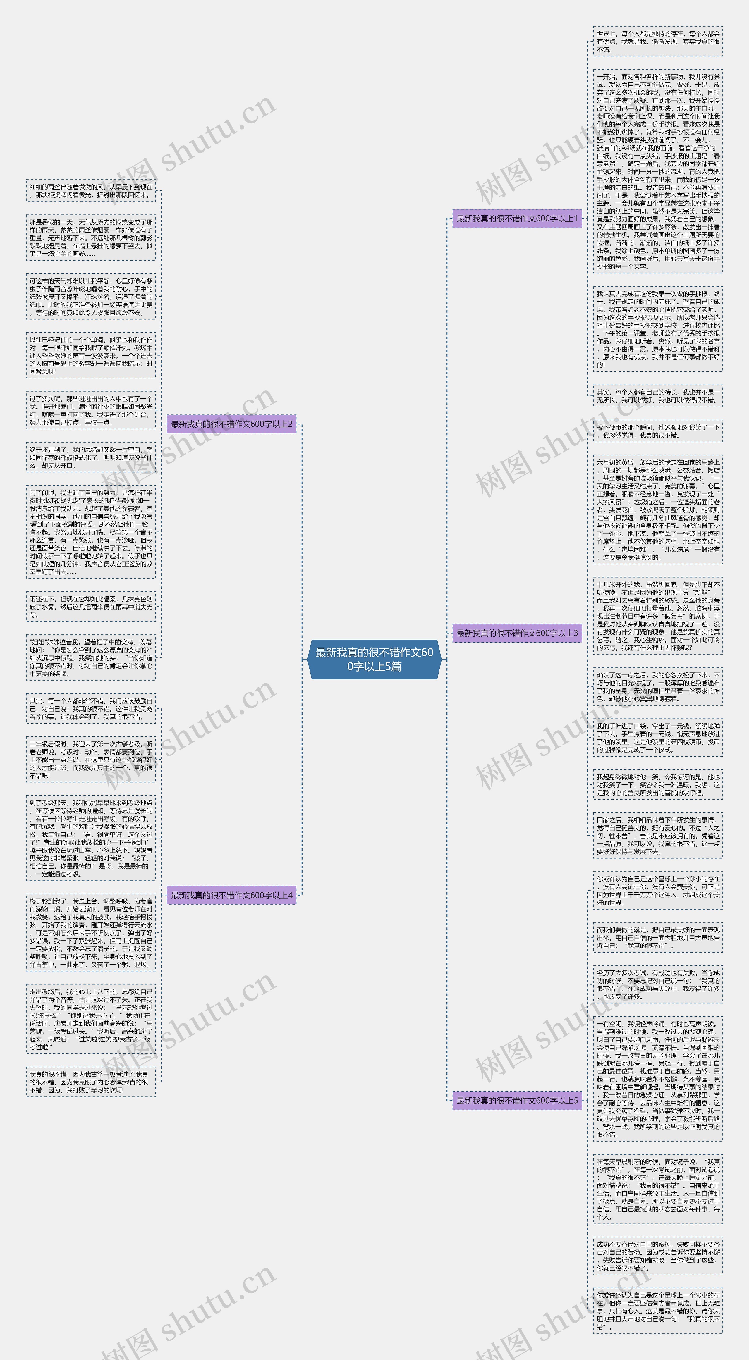 最新我真的很不错作文600字以上5篇思维导图